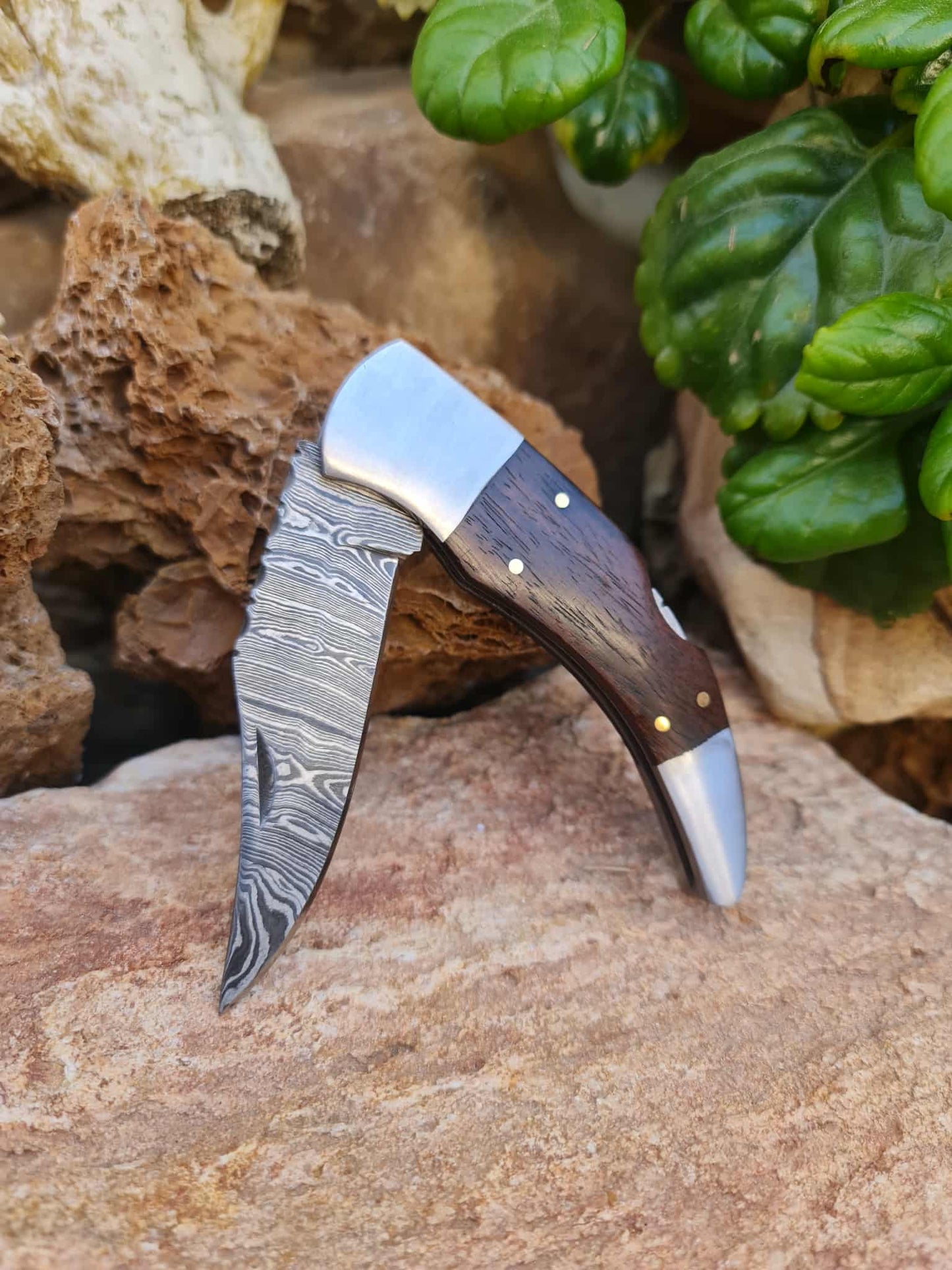 Handmade 20cm Pocket Knife with Damascus Steel - Walnut Wood & D2 Stainless Steel