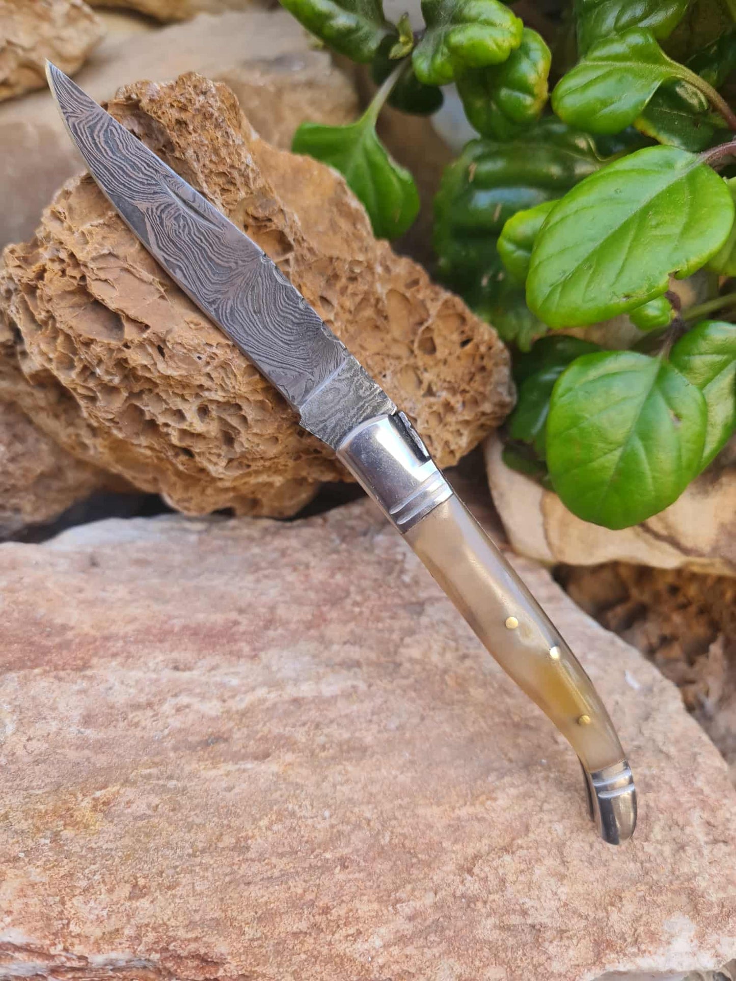 Handmade 22cm Laguiole Rustique with Damascus Steel - Ram Horn with D2 Stainless Steel