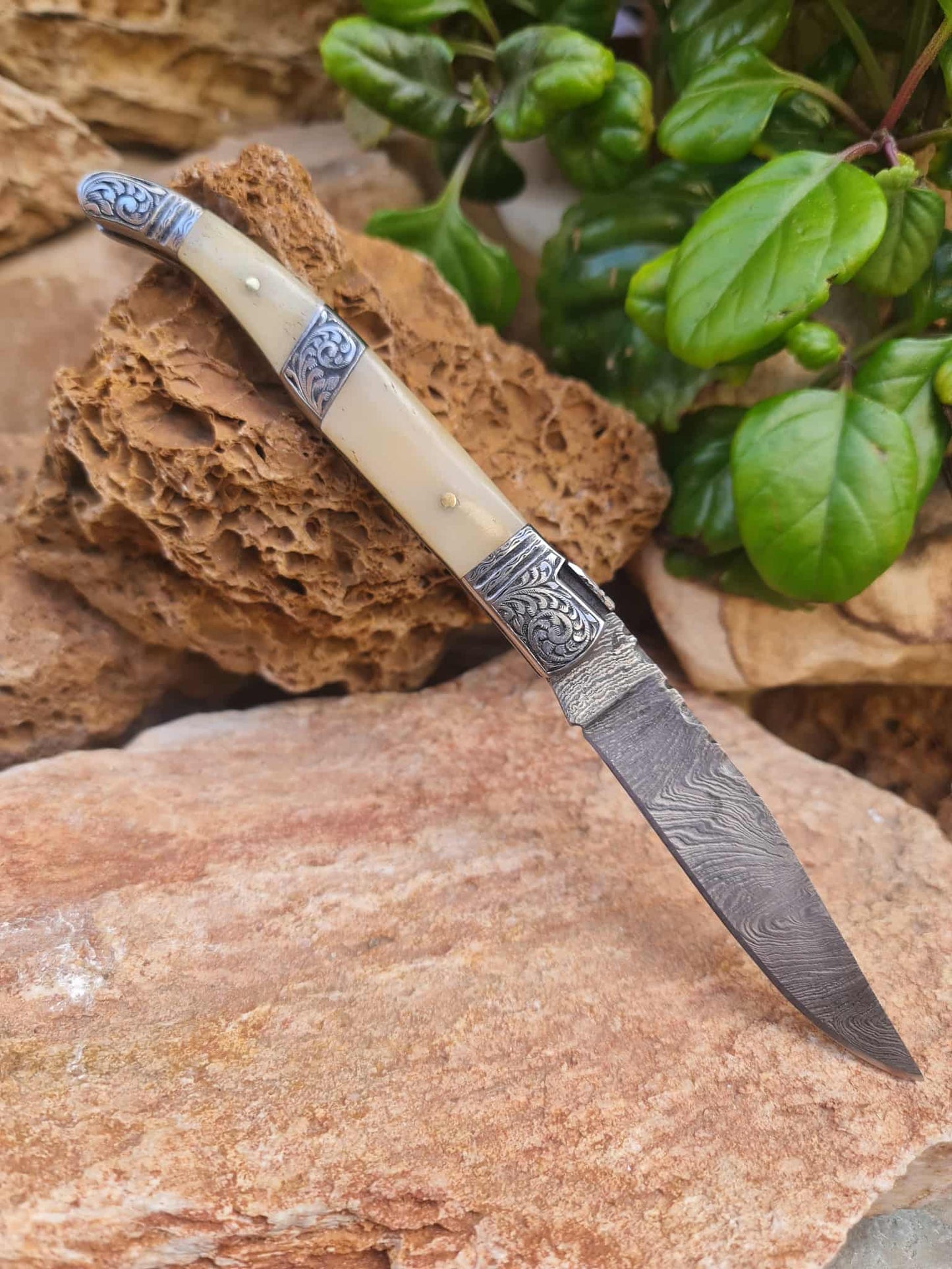 Handmade 22cm Laguiole Rustique with Damascus Steel - Camel Bone & 420 Stainless Steel with Master Hand-Engraved