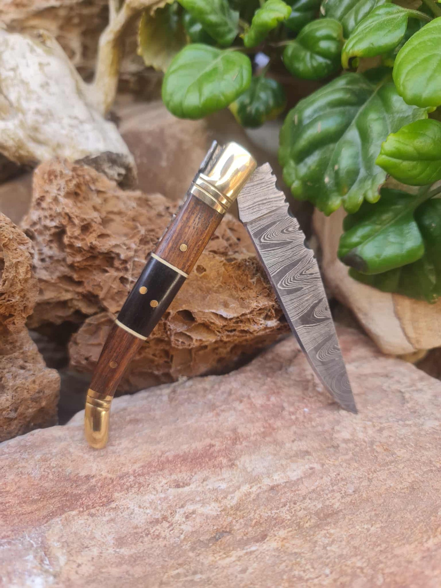 Handmade 22cm Laguiole Classique with Damascus Steel - Walnut wood - Buffalo Horn & Brass