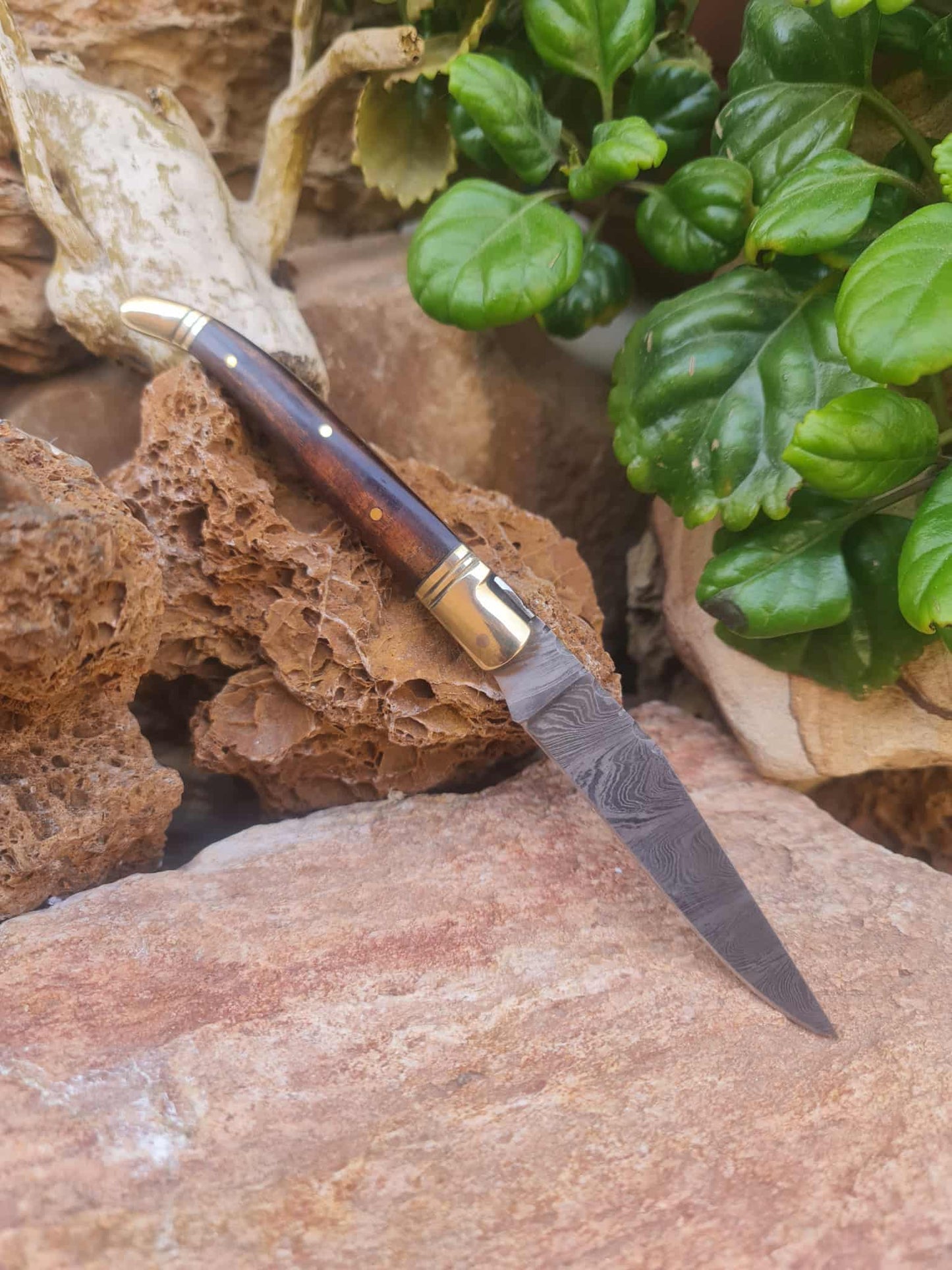 Handmade 22cm Laguiole Classique with Damascus Steel - Rosewood & Brass