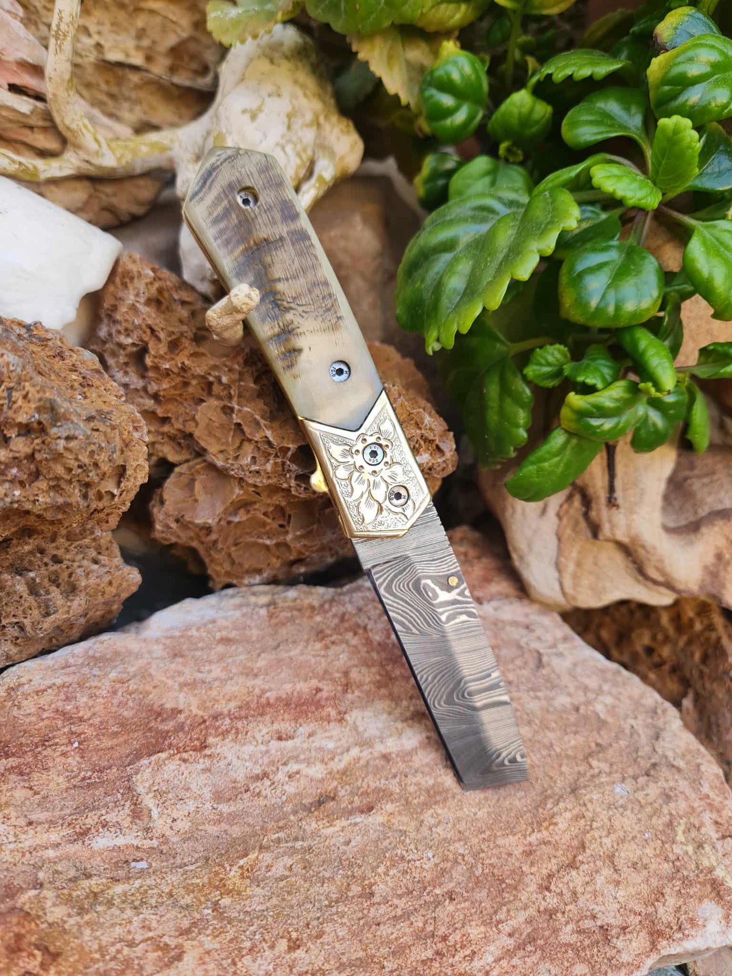 Handmade Limited Edition with Serial Number 20cm Knife with Damascus Steel - Cyprus Wild Mouflon Horn & Hand Engraved Brass (Exclusive Knife with Serial Number & Exclusive Gift Box)