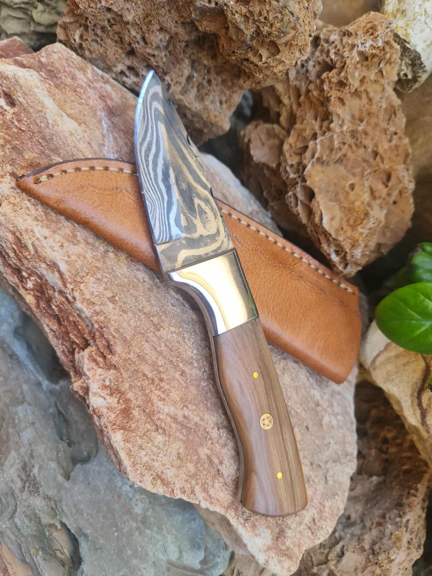 Handmade 20cm Skinner Knife with Damascus Steel - Olive wood & D2 Stainless Steel