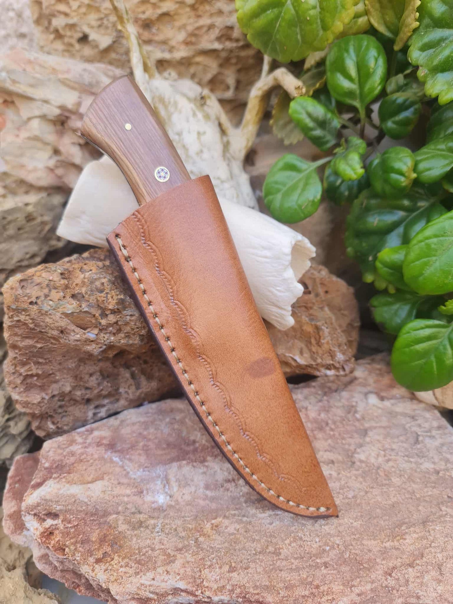 Handmade 20cm Skinner Knife with Damascus Steel - Olive wood & D2 Stainless Steel