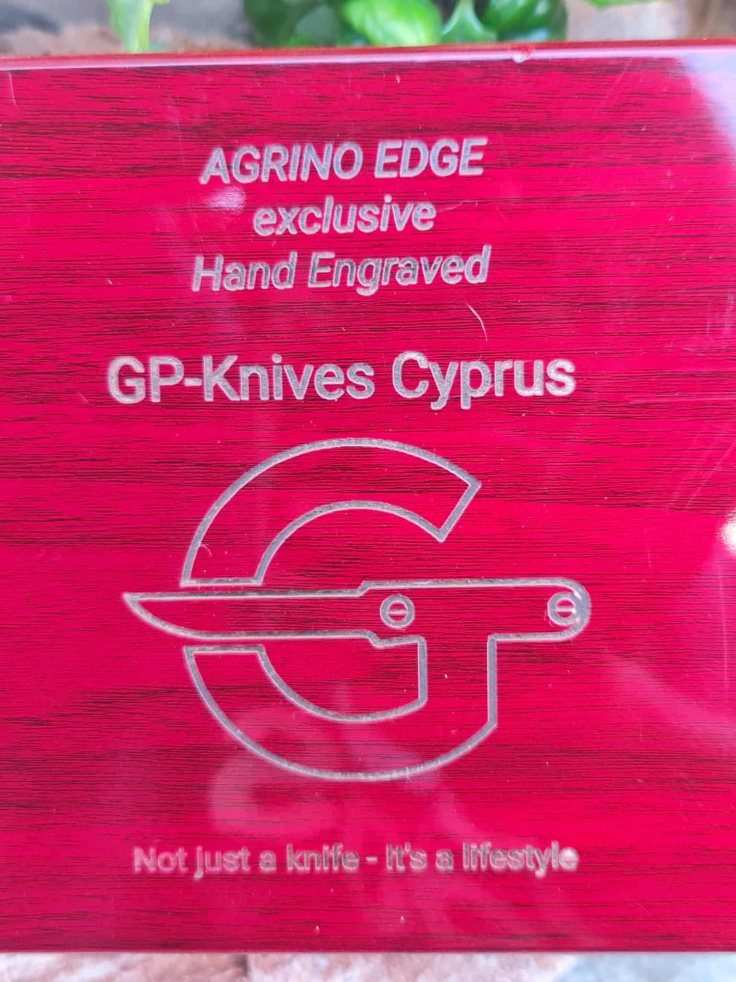 Handmade Limited Edition with Serial Number 20cm Knife with Damascus Steel - Cyprus Wild Mouflon Horn & Hand Engraved Brass (Exclusive Knife with Serial Number & Exclusive Gift Box)