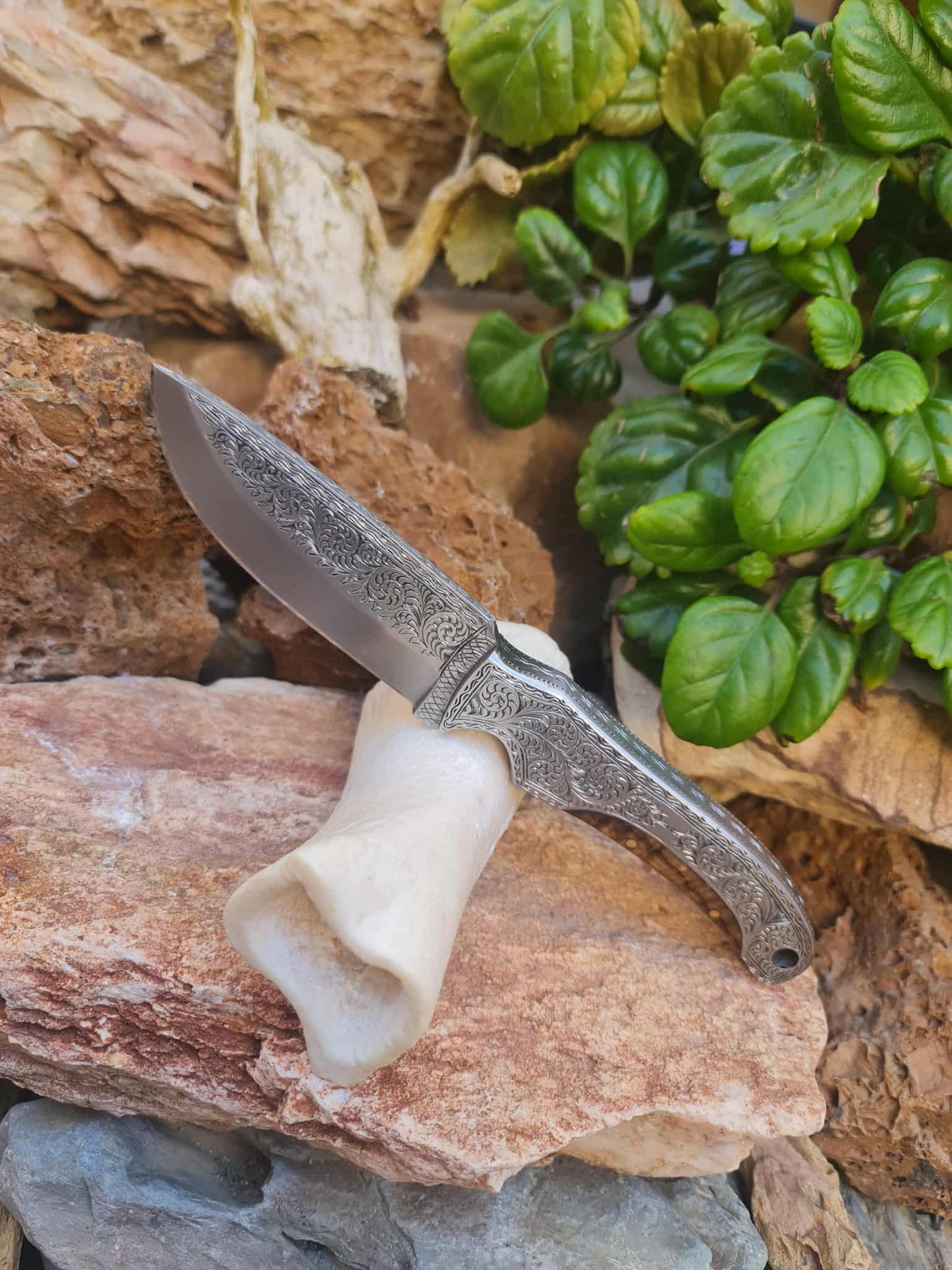 Handmade 23cm Exclusive Hunting Knife with Stainless Steel with Master Hand-Engraved & Exotic Hardwood
