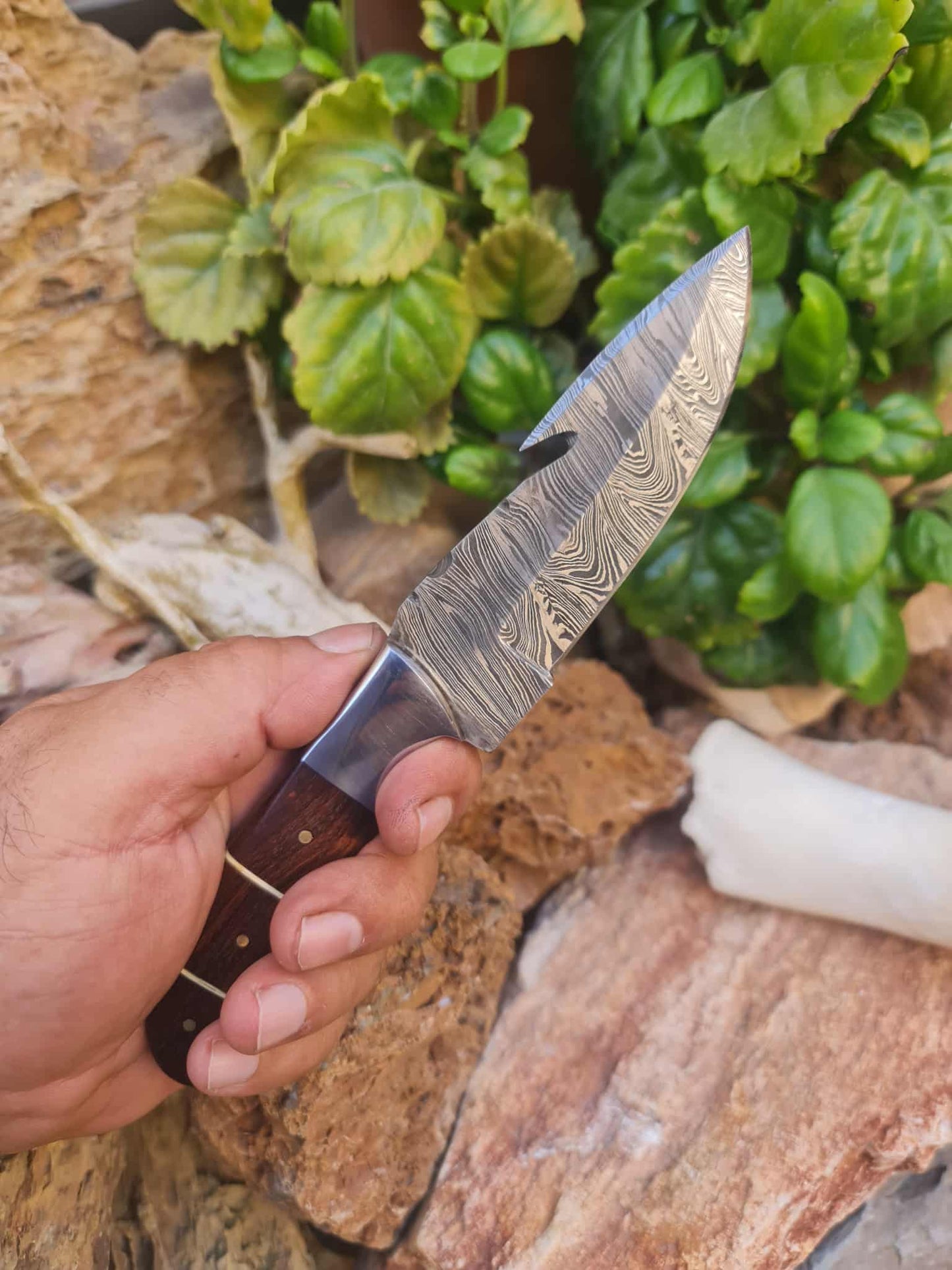 Handmade 21cm Gut hook Knife with Damascus Steel - Walnut wood & D2 Stainless Steel
