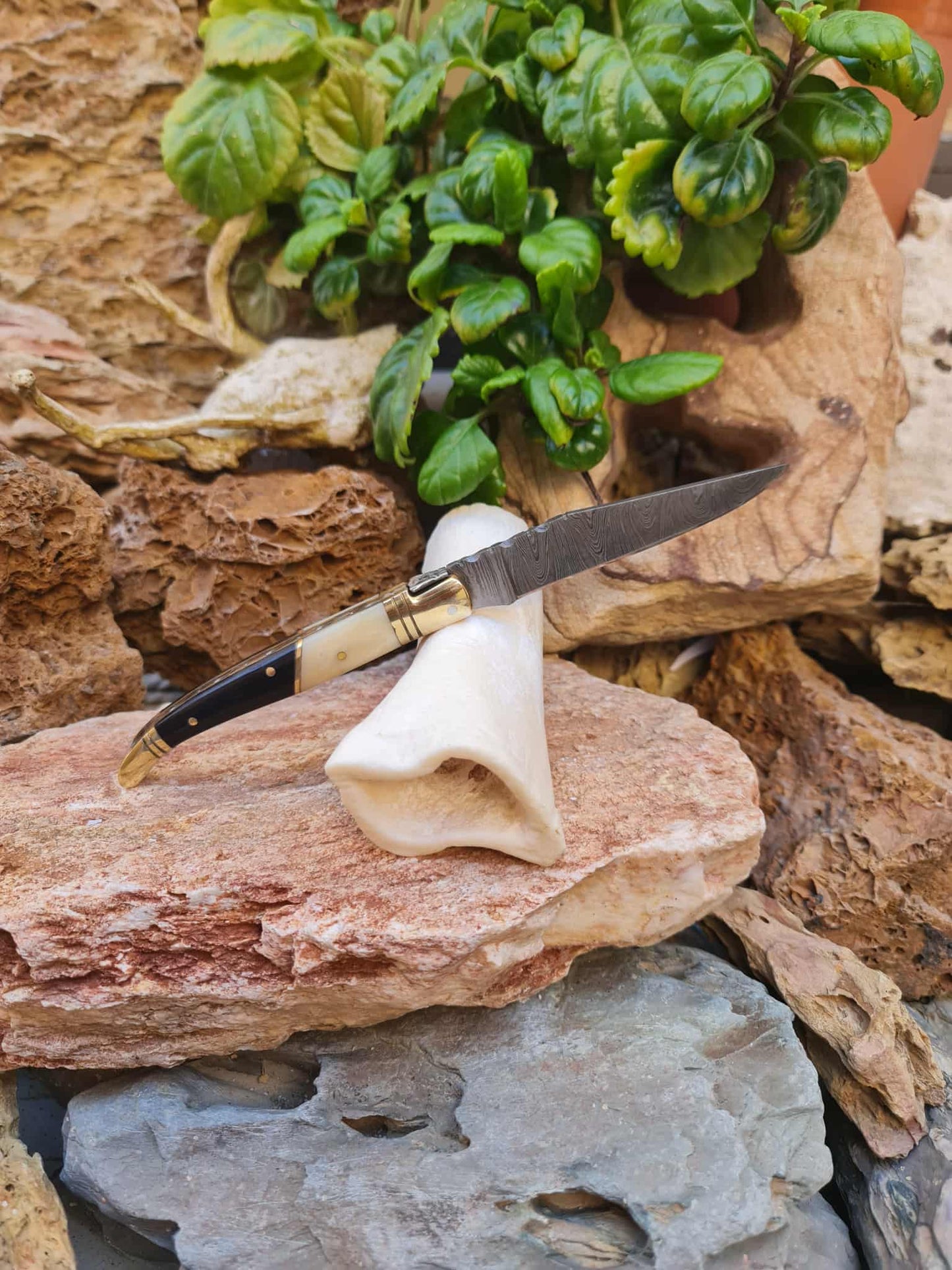 Handmade 22cm Laguiole Classique with Damascus Steel - Camel Bone - Buffalo Horn & Brass