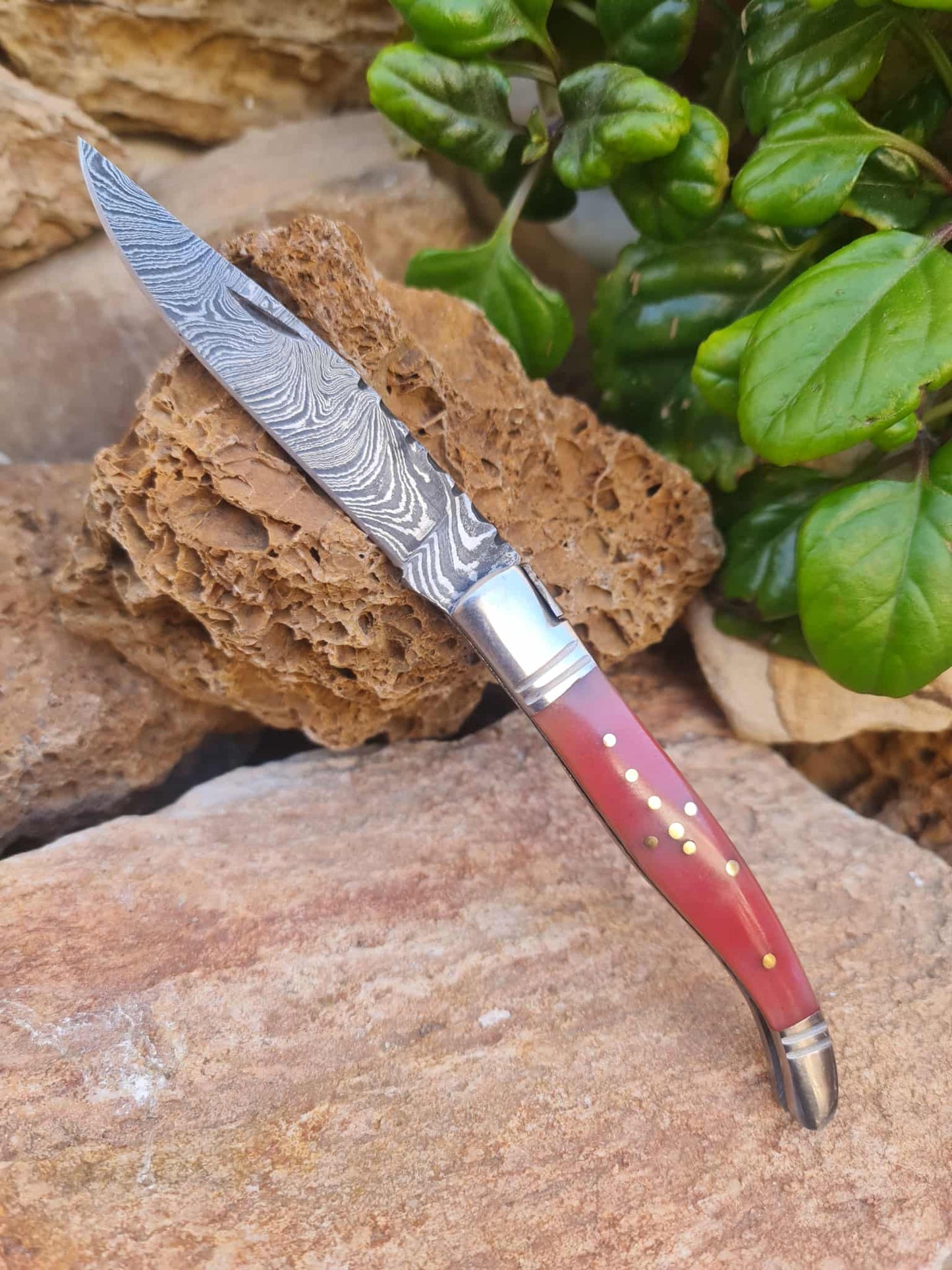 Handmade 22cm Laguiole Rustique with Damascus Steel - Stabilized Camel Bone with D2 Stainless Steel