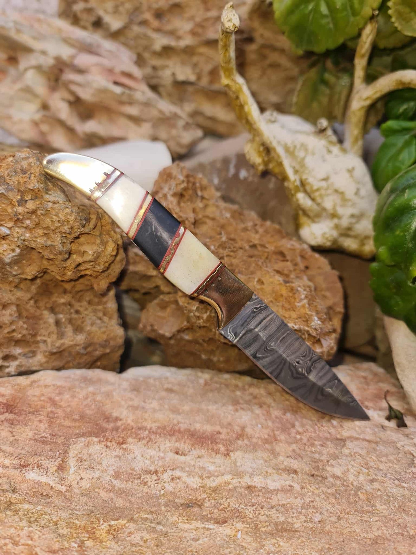 Handmade 18cm Mini Hunting Knife with Damascus Steel - Buffalo Horn - Camel Bone & Brass