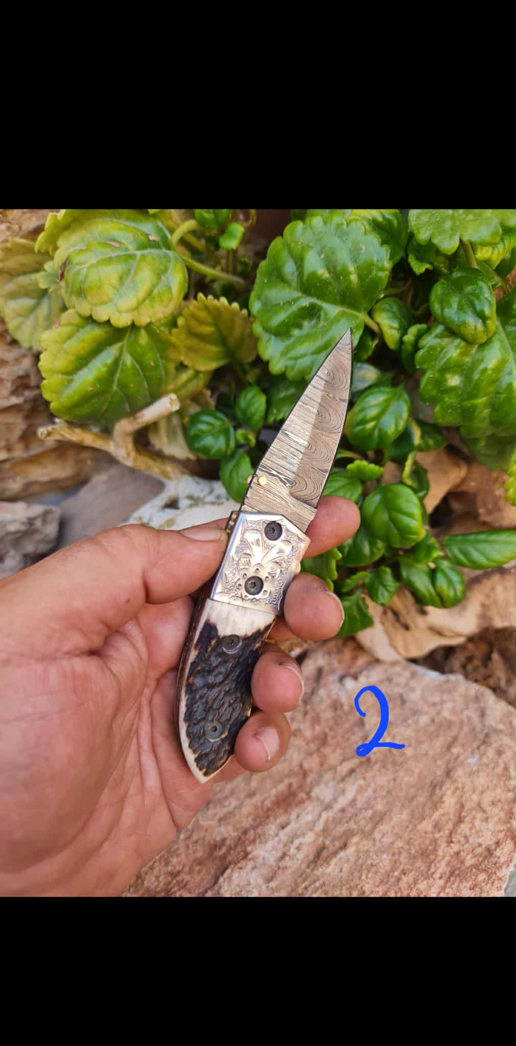 Handmade Limited Edition with Serial Number 16cm Knives with Damascus Steel - Red Deer antler & Hand Engraved Stainless Steel D2 (Exclusive Knife with Serial Number)