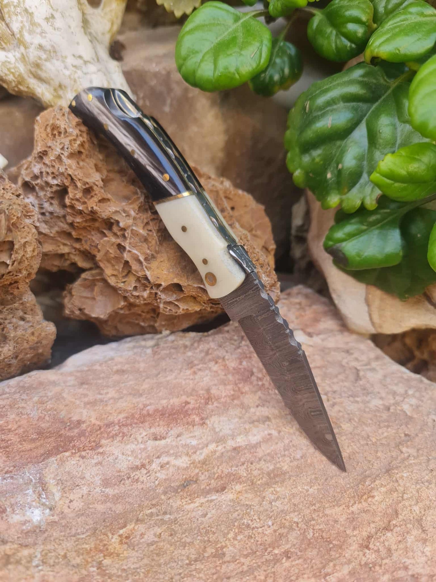 Handmade 19cm Laguiole Élite with Damascus Steel & Buffalo horn