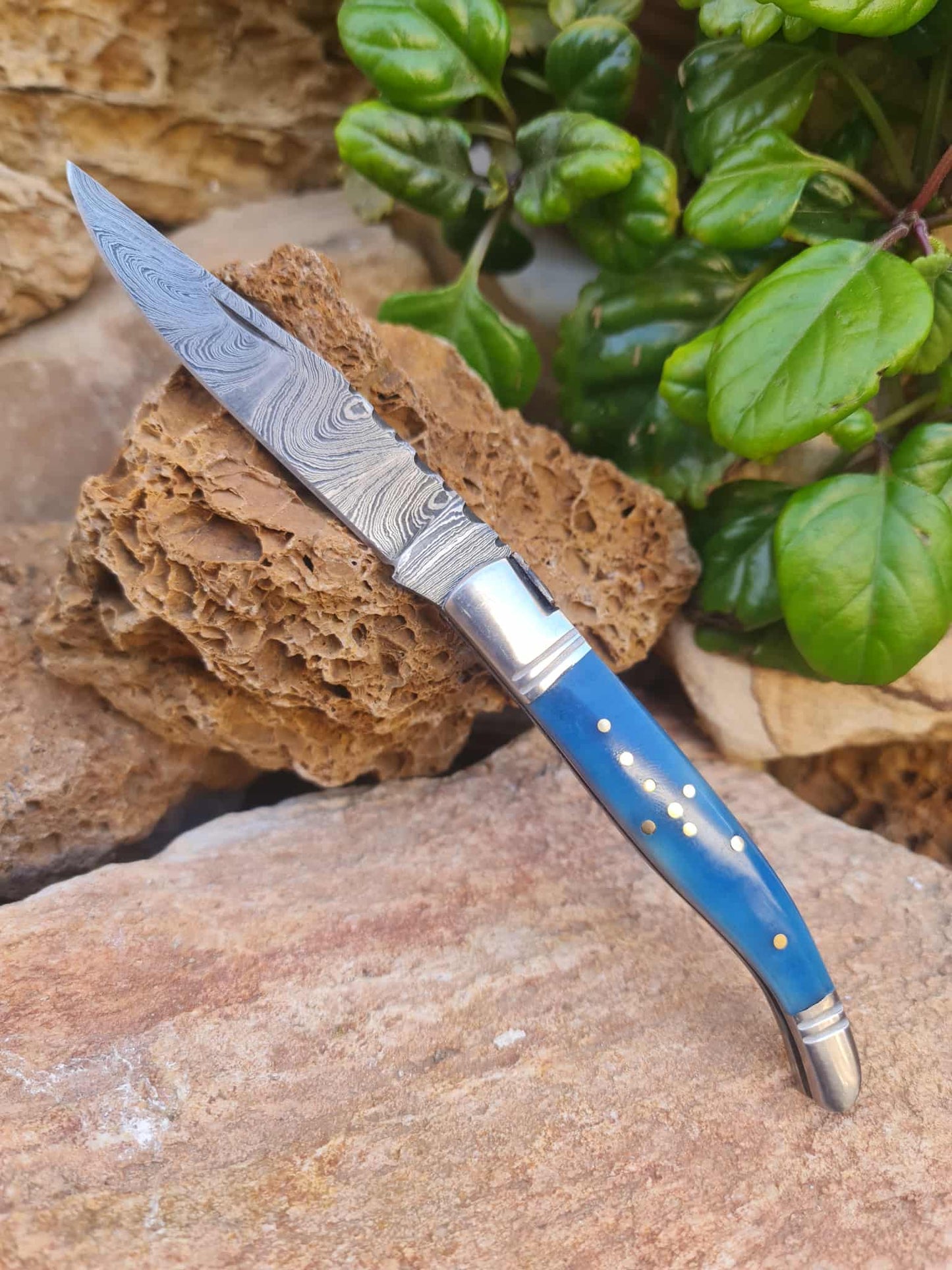 Handmade 22cm Laguiole Rustique with Damascus Steel - Stabilized Camel Bone with D2 Stainless Steel
