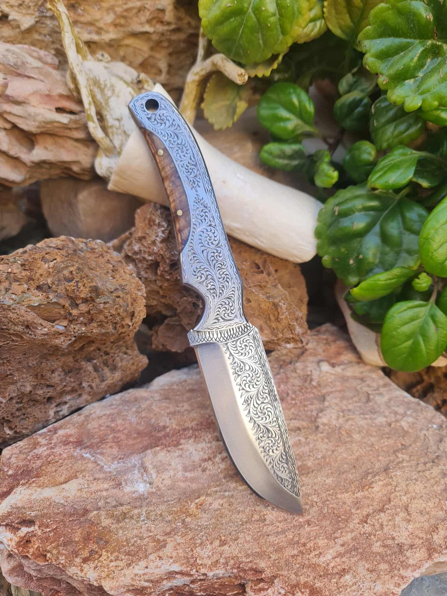 Handmade 23cm Exclusive Hunting Knife with Stainless Steel with Master Hand-Engraved & Exotic Hardwood