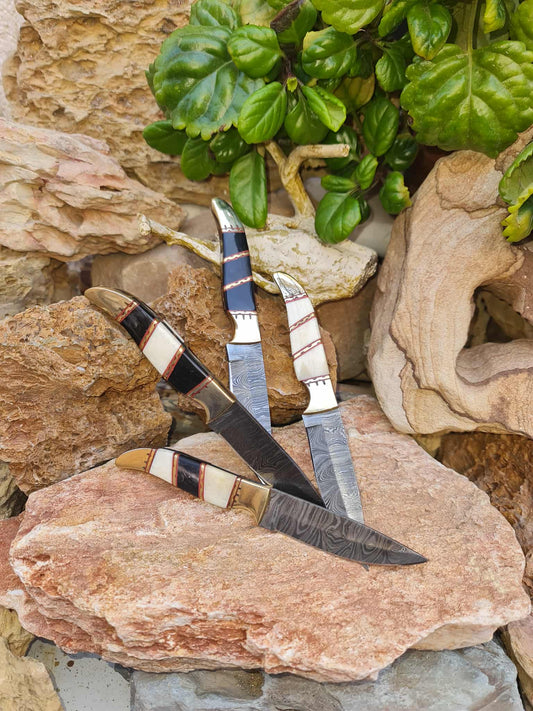 Handmade 18cm Mini Hunting Knife with Damascus Steel - Buffalo Horn - Camel Bone & Brass