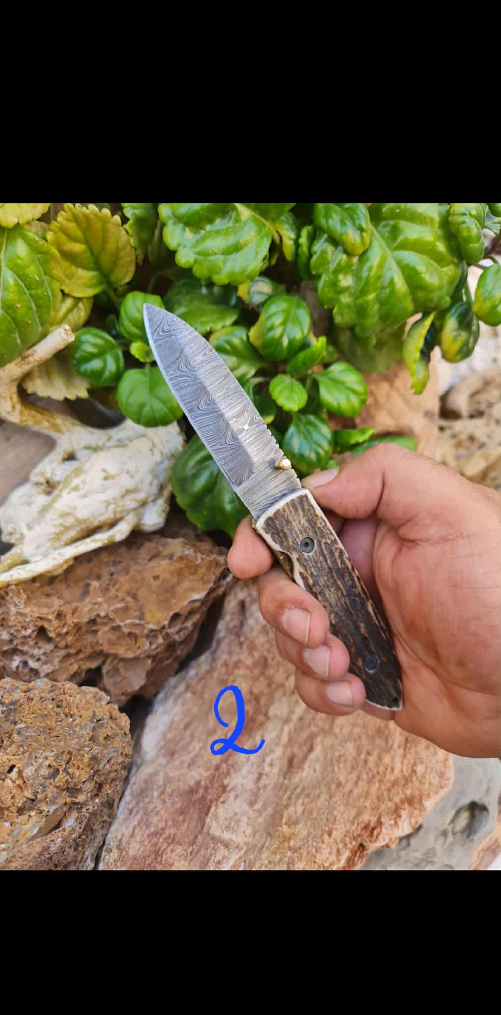 Handmade Classic Elegance – 19cm Folding Knife with Damascus Steel & Red Deer antler