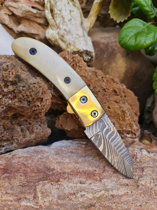 Handmade Classic Elegance – 18cm Folding Knife with Damascus Steel - Camel bone & Brass