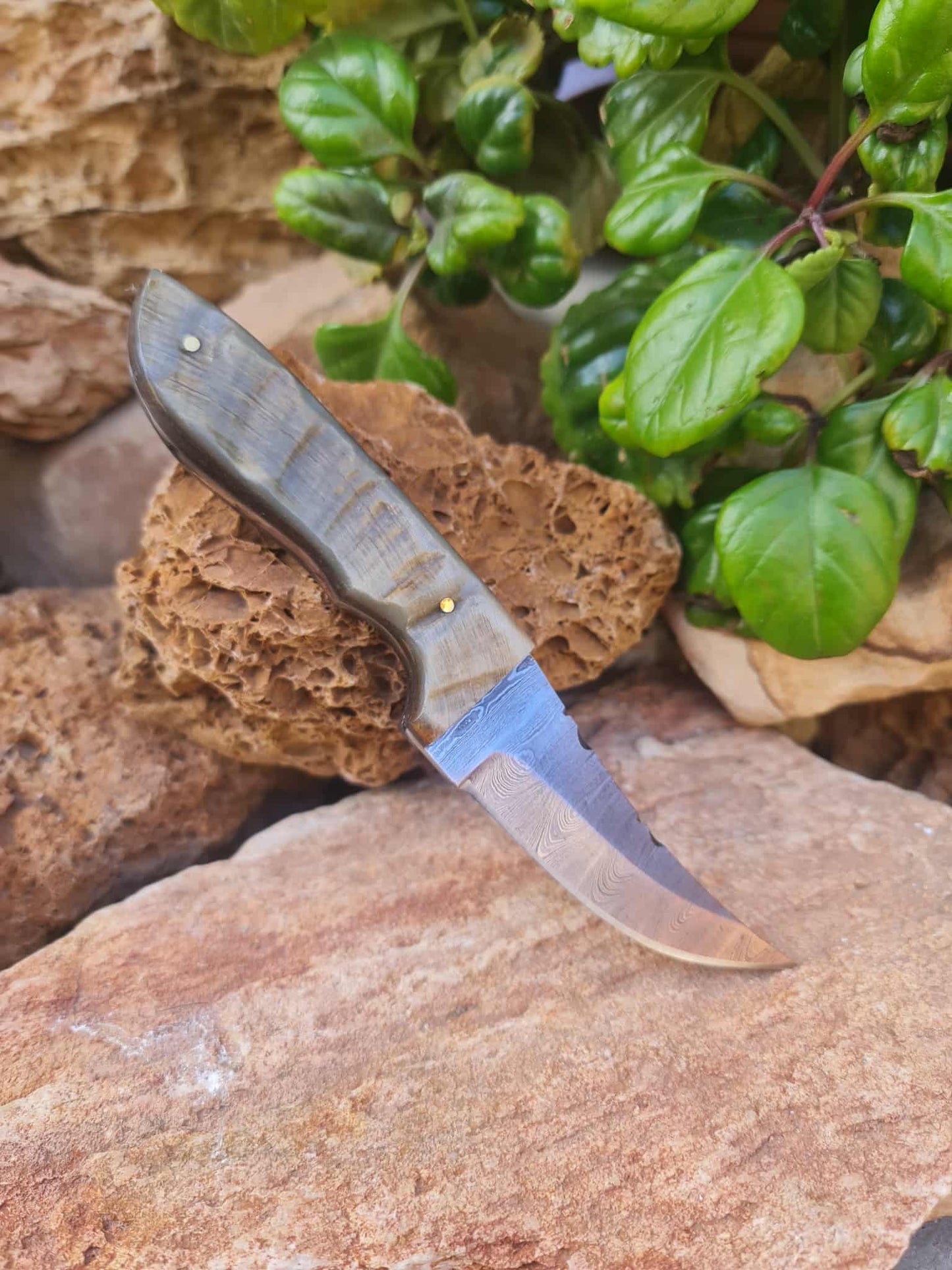 Handmade 21cm Hunting Knife with Damascus Steel & Ram Horn