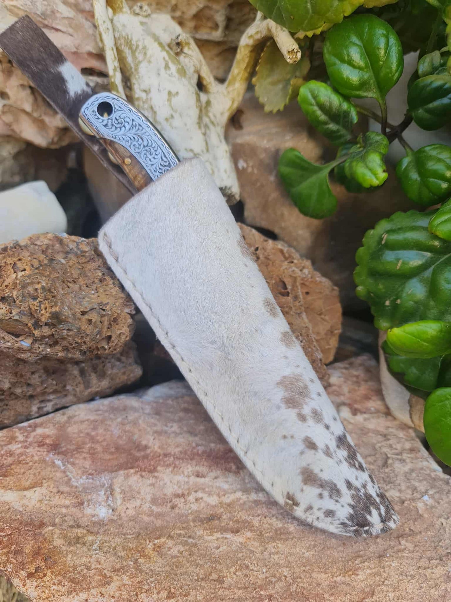 Handmade 23cm Exclusive Hunting Knife with Stainless Steel with Master Hand-Engraved & Exotic Hardwood