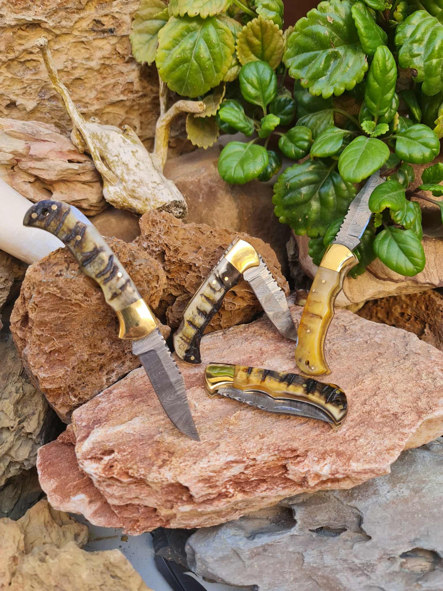 Handmade 17cm Pocket Knife with Damascus Steel - Ram Horn & Brass