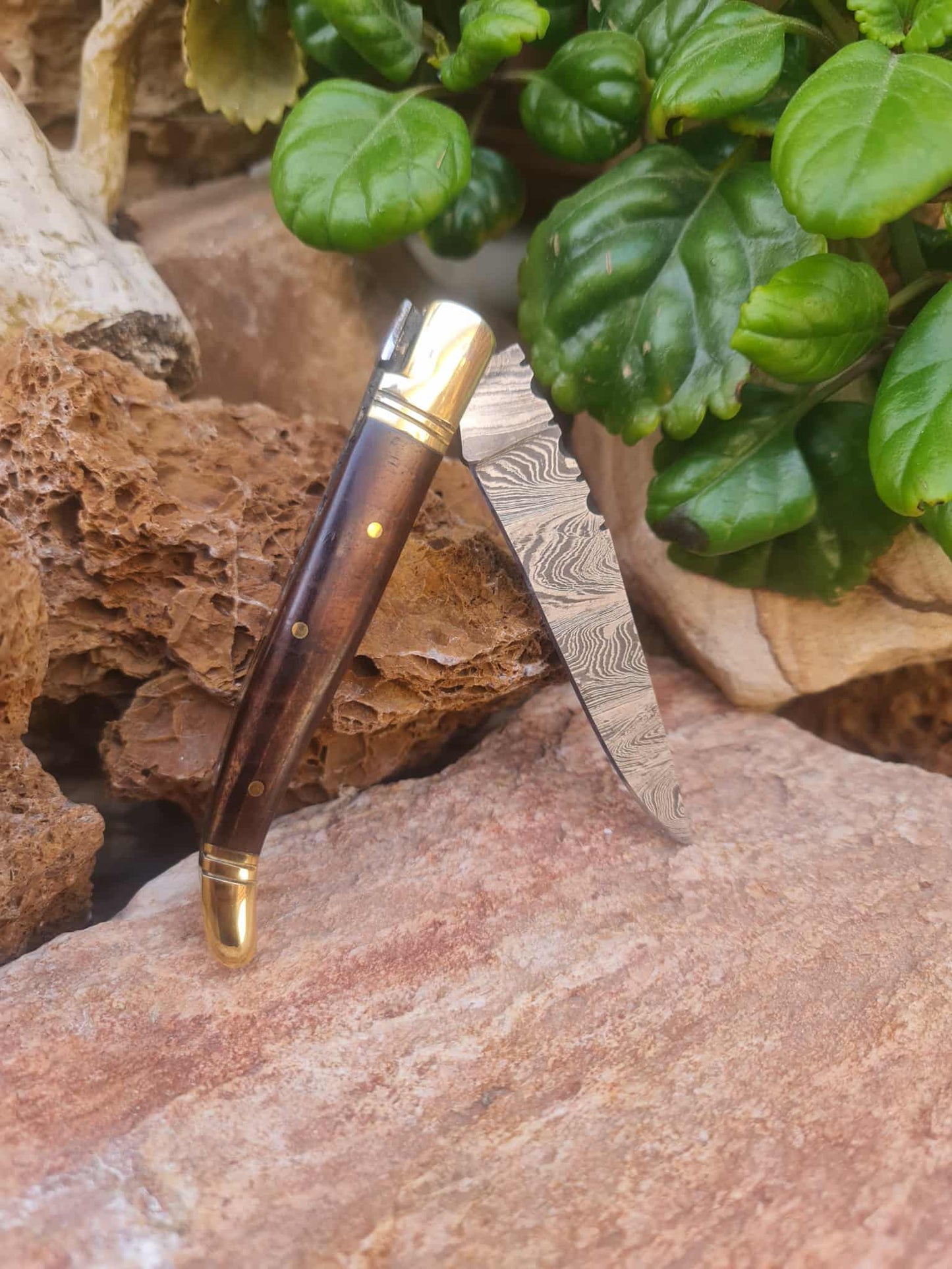 Handmade 22cm Laguiole Classique with Damascus Steel - Rosewood & Brass