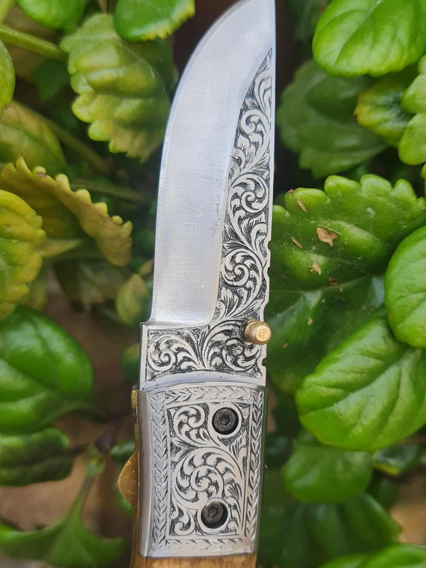 Handmade Limited Edition with Serial Number 18cm Knife with 420 Stainless Steel with Master Hand-Engraved & Olivewood