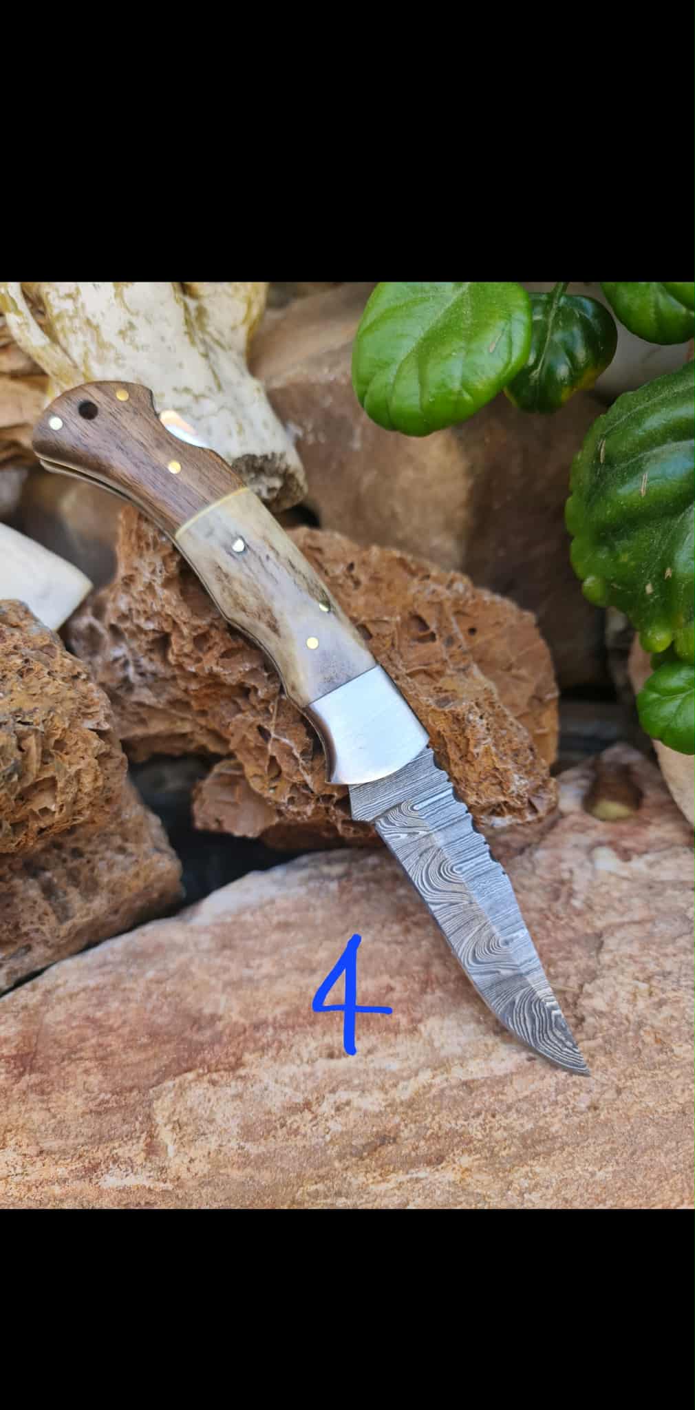 Handmade 19cm Pocket Knife with Damascus Steel - Red deer antler - Walnut wood & D2 Stainless Steel