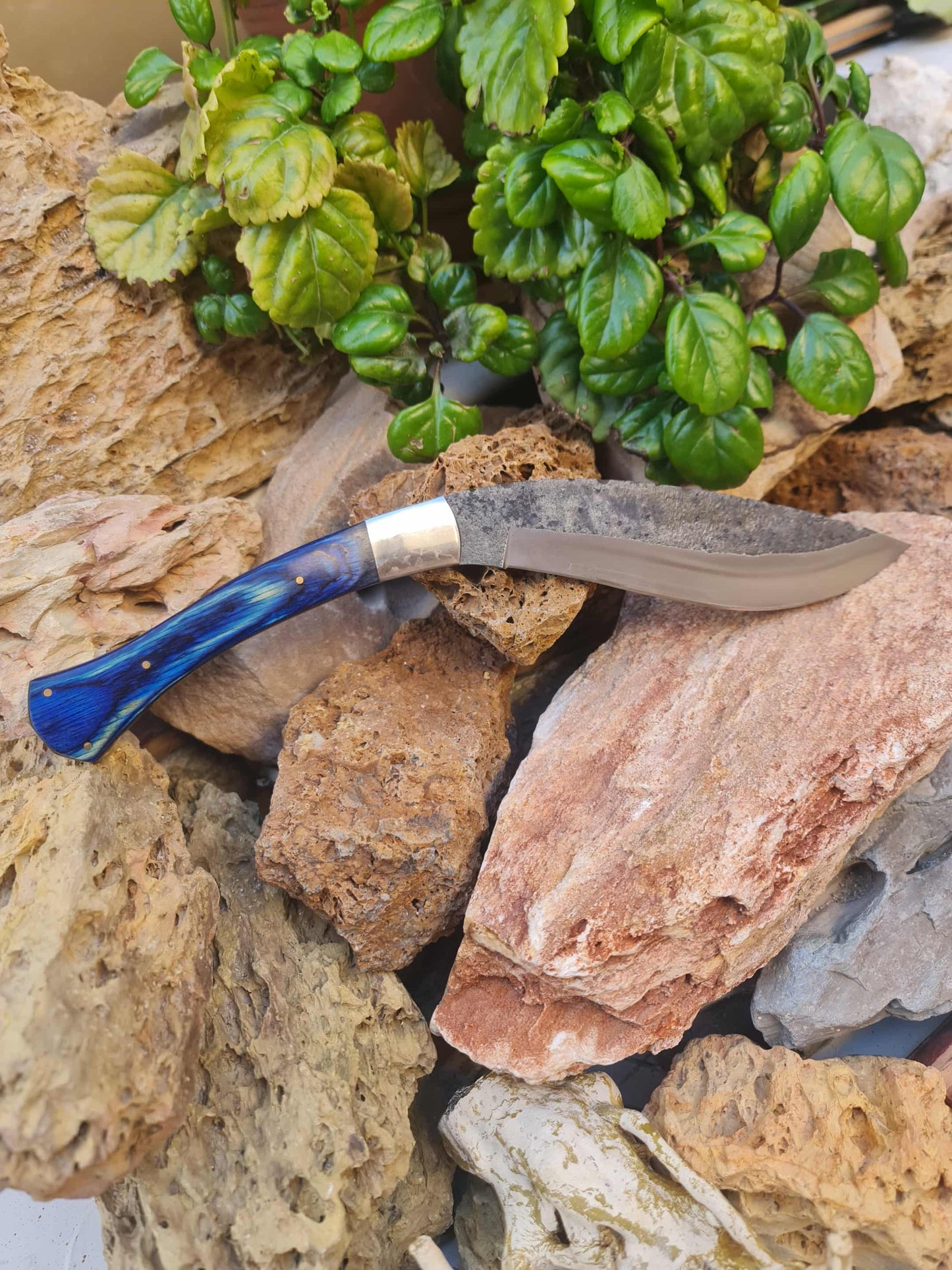 K101 Handmade Curved Knife - Carbon & Resin wood