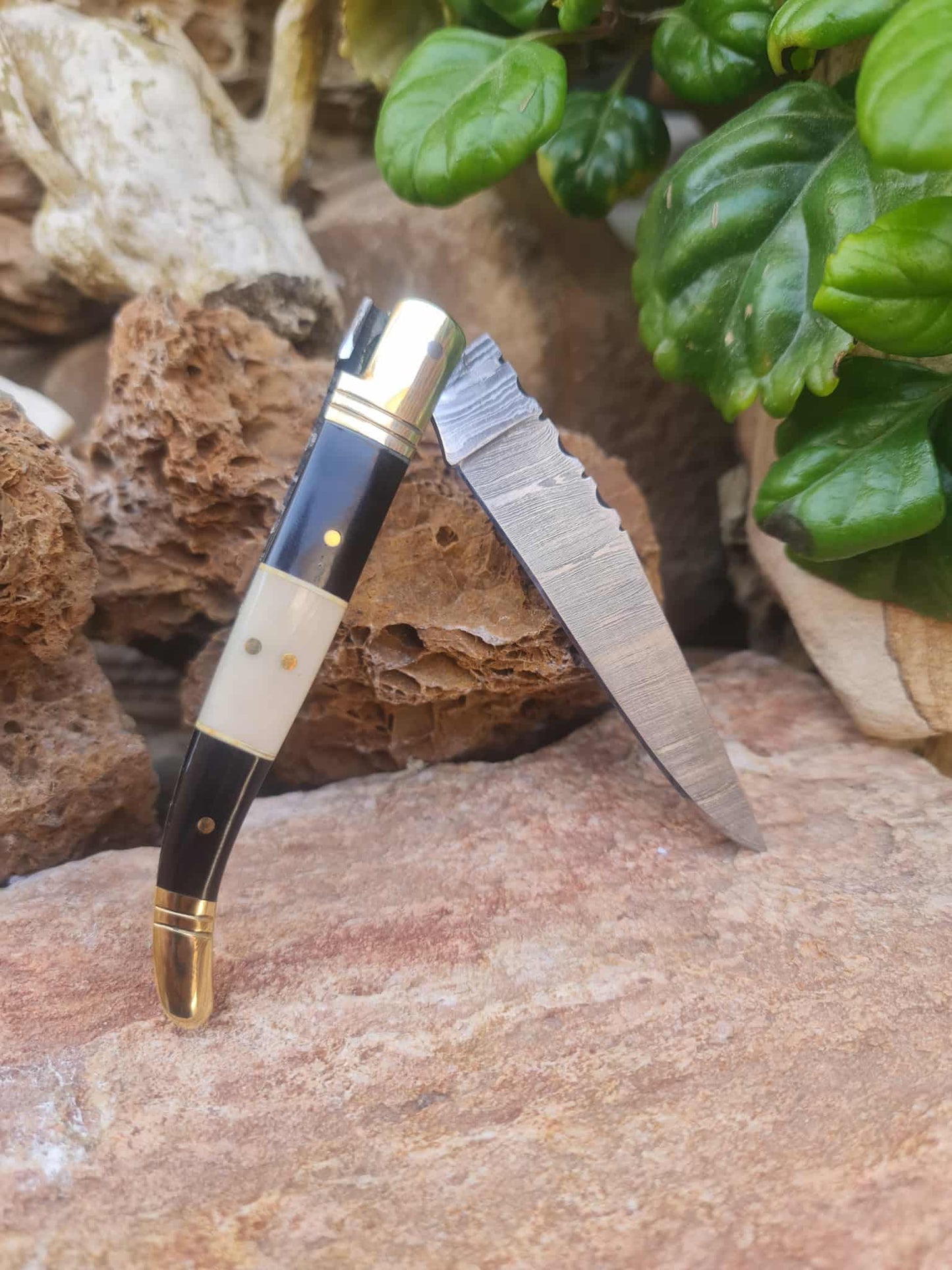 Handmade 22cm Laguiole Classique with Damascus Steel - Buffalo Horn - Camel Bone & Brass