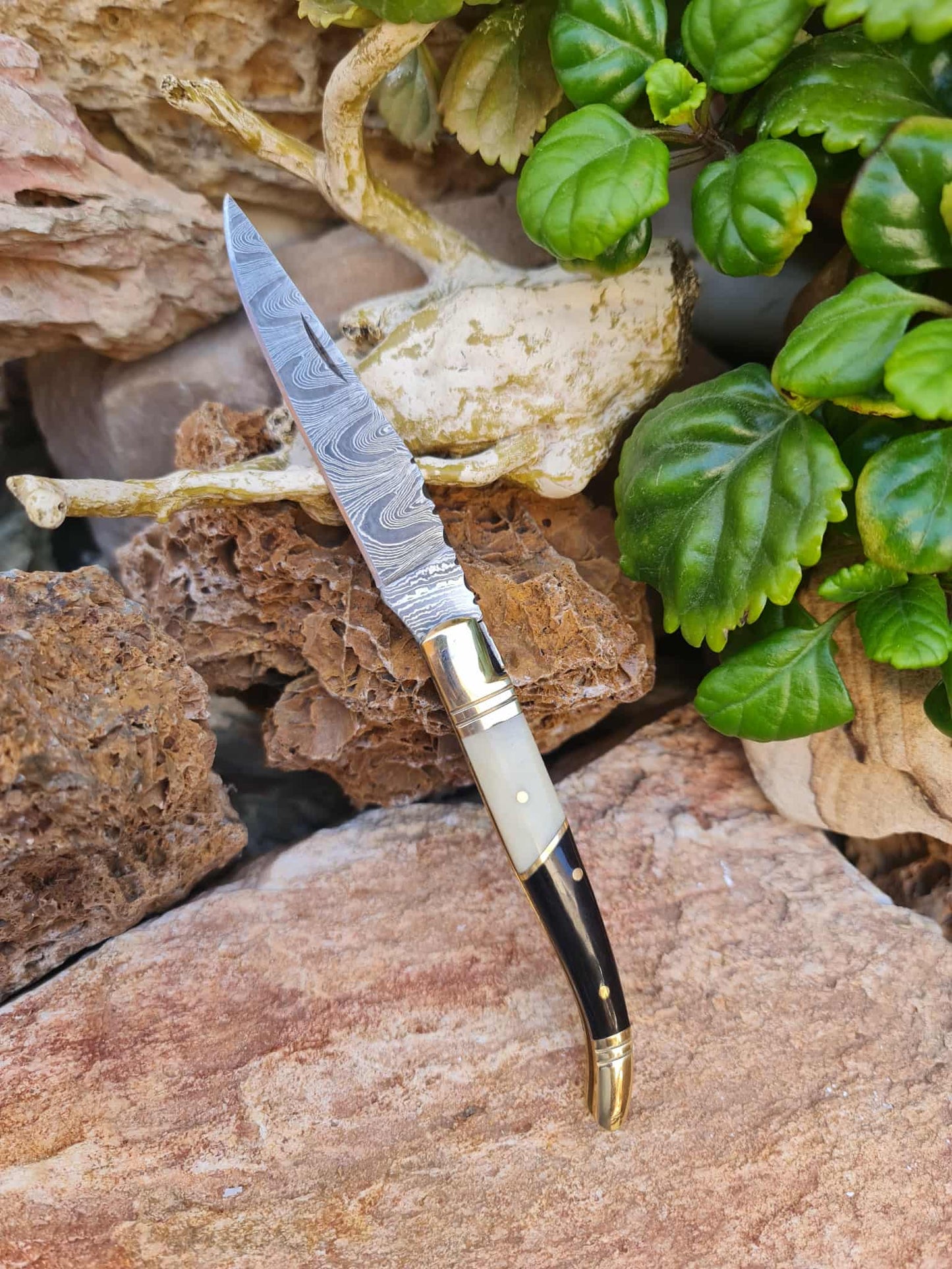 Handmade 22cm Laguiole Classique with Damascus Steel - Camel Bone - Buffalo Horn & Brass