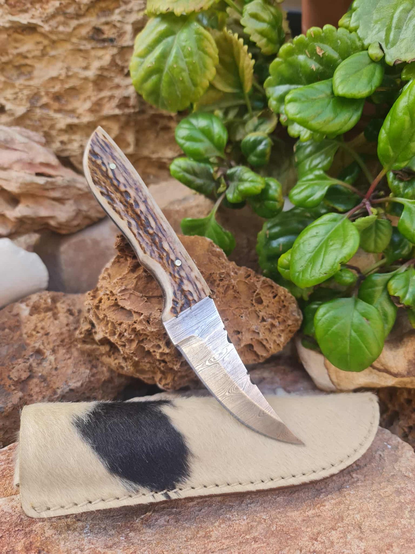 Handmade 21cm Hunting Knife with Damascus Steel & Red Deer antler