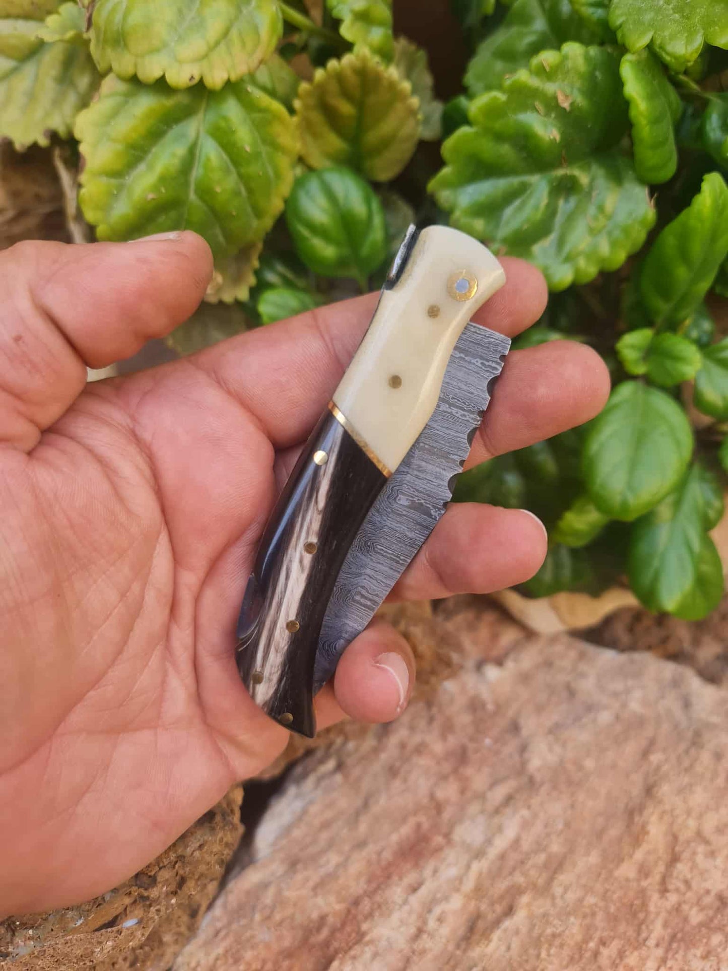 Handmade 19cm Laguiole Élite with Damascus Steel & Buffalo horn