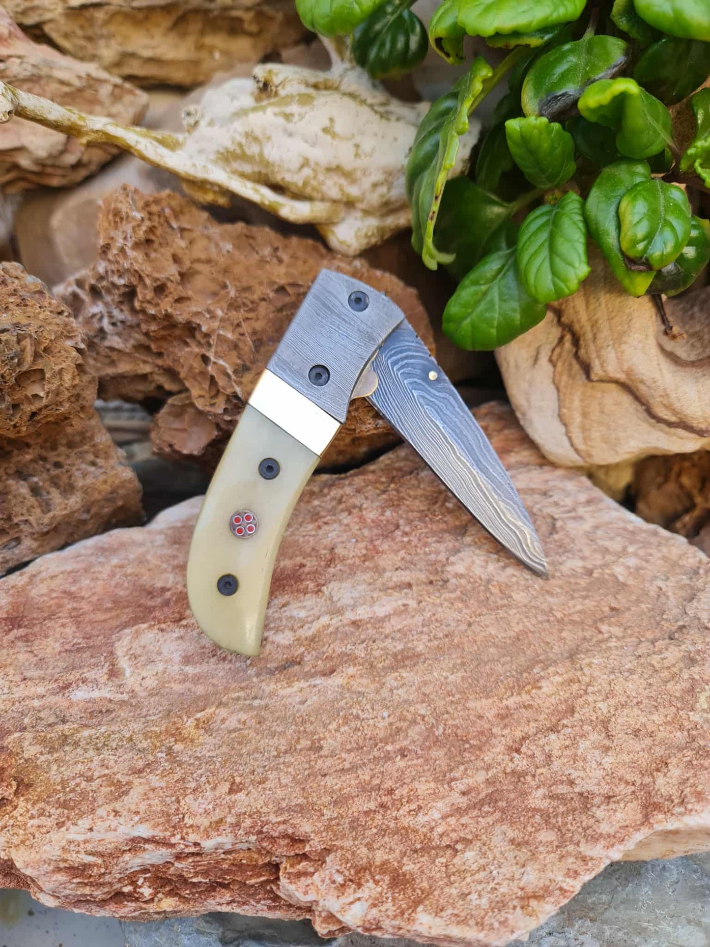 Handmade Classic Elegance – 20cm Folding Knife with Damascus Steel - Camel Bone & Brass