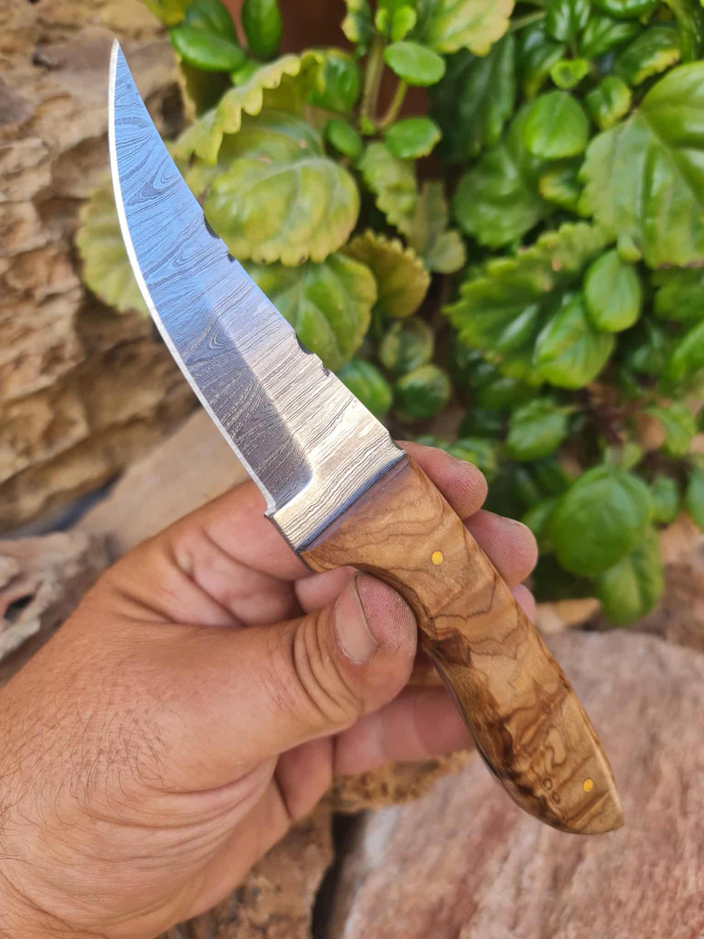 Handmade 21cm Hunting Knife with Damascus Steel & Olive wood