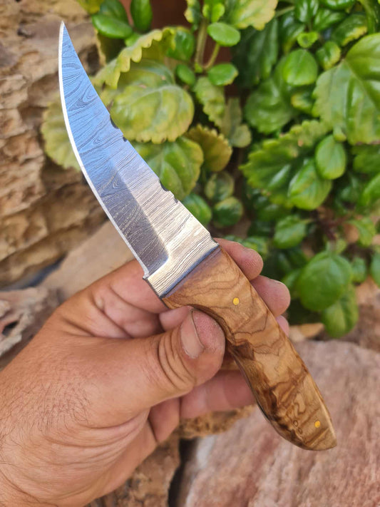 Handmade 21cm Hunting Knife with Damascus Steel & Olive wood