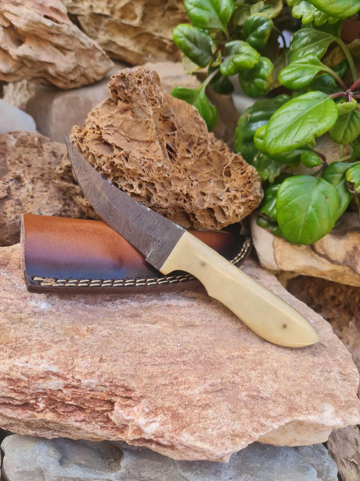 Handmade 21cm Hunting Knife with Damascus Steel & Camel bone
