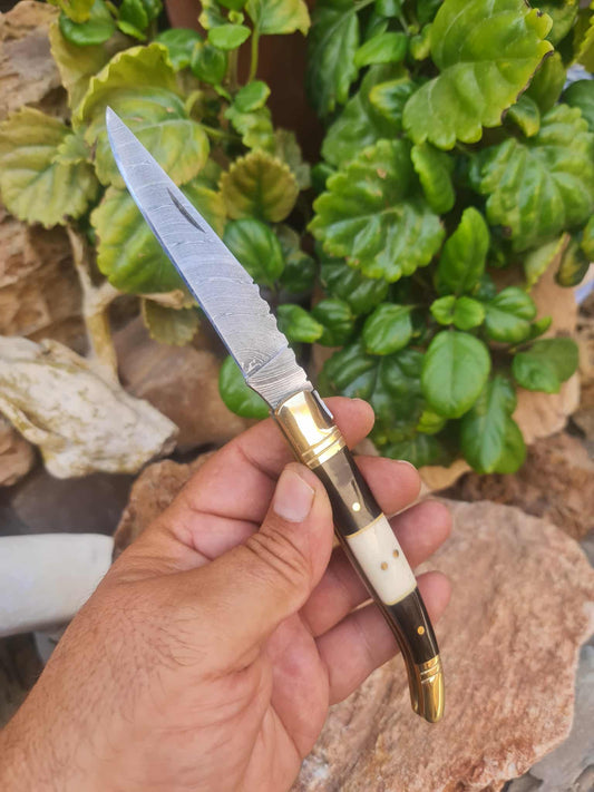 Handmade 22cm Laguiole Classique with Damascus Steel - Buffalo Horn - Camel Bone & Brass