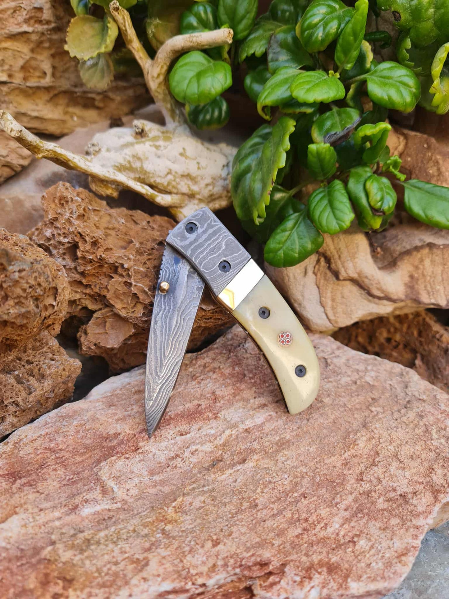 Handmade Classic Elegance – 20cm Folding Knife with Damascus Steel - Camel Bone & Brass
