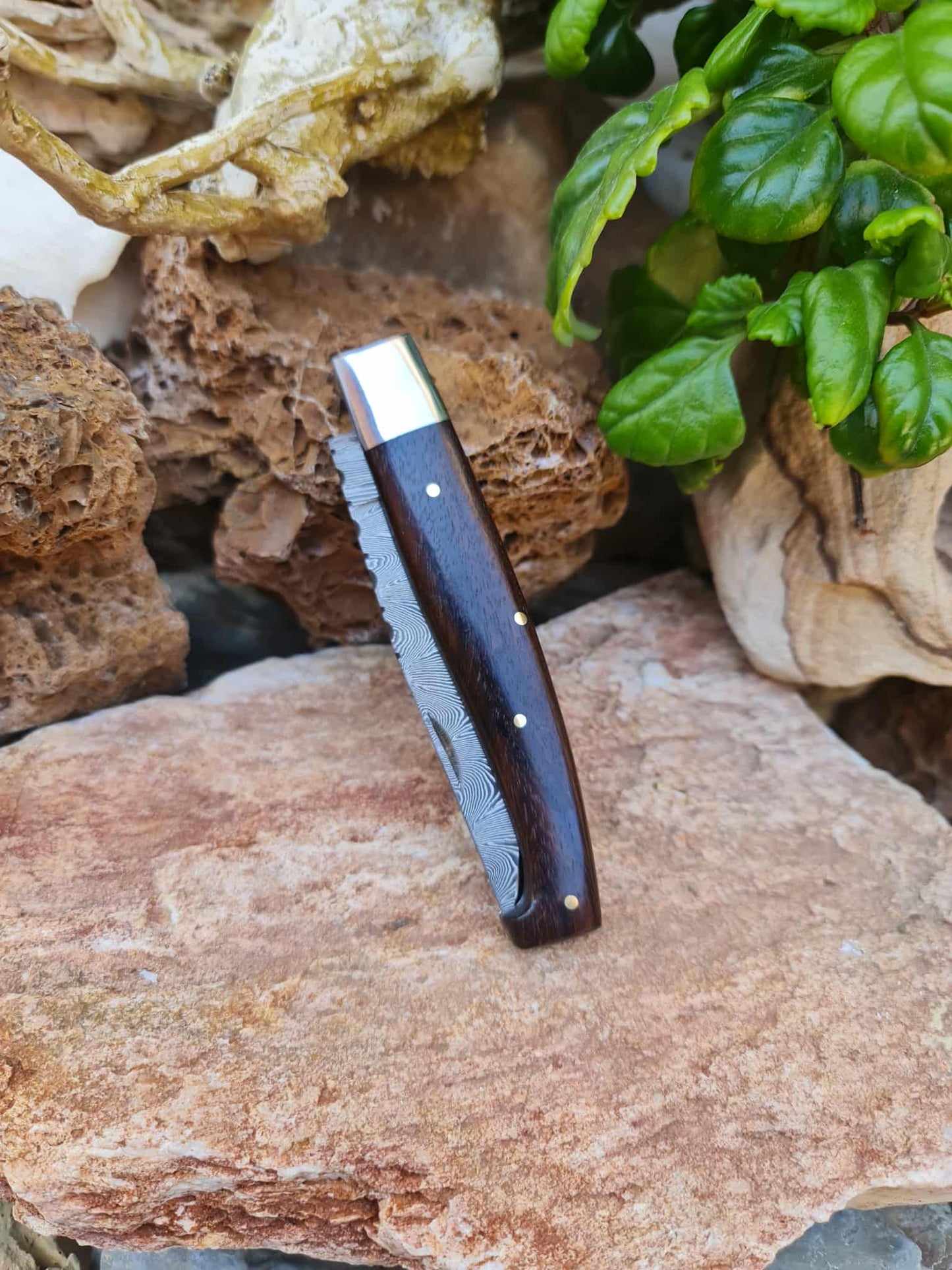 Handmade Resolza Pattadese – 23cm Italian Style Folding Knife with Damascus Steel & Walnut Wood