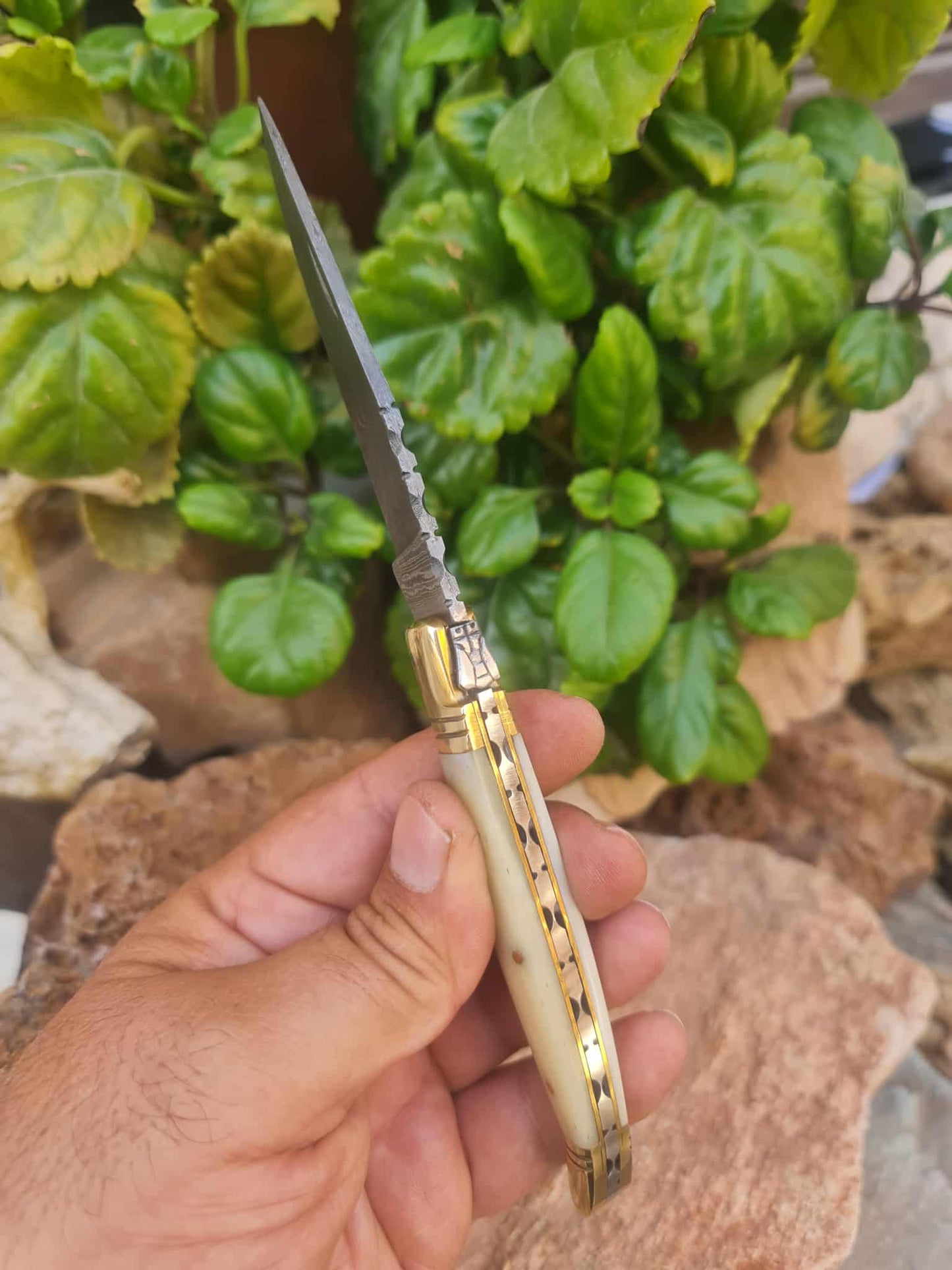 Handmade 22cm Laguiole Classique with Damascus Steel - Camel Bone & Brass