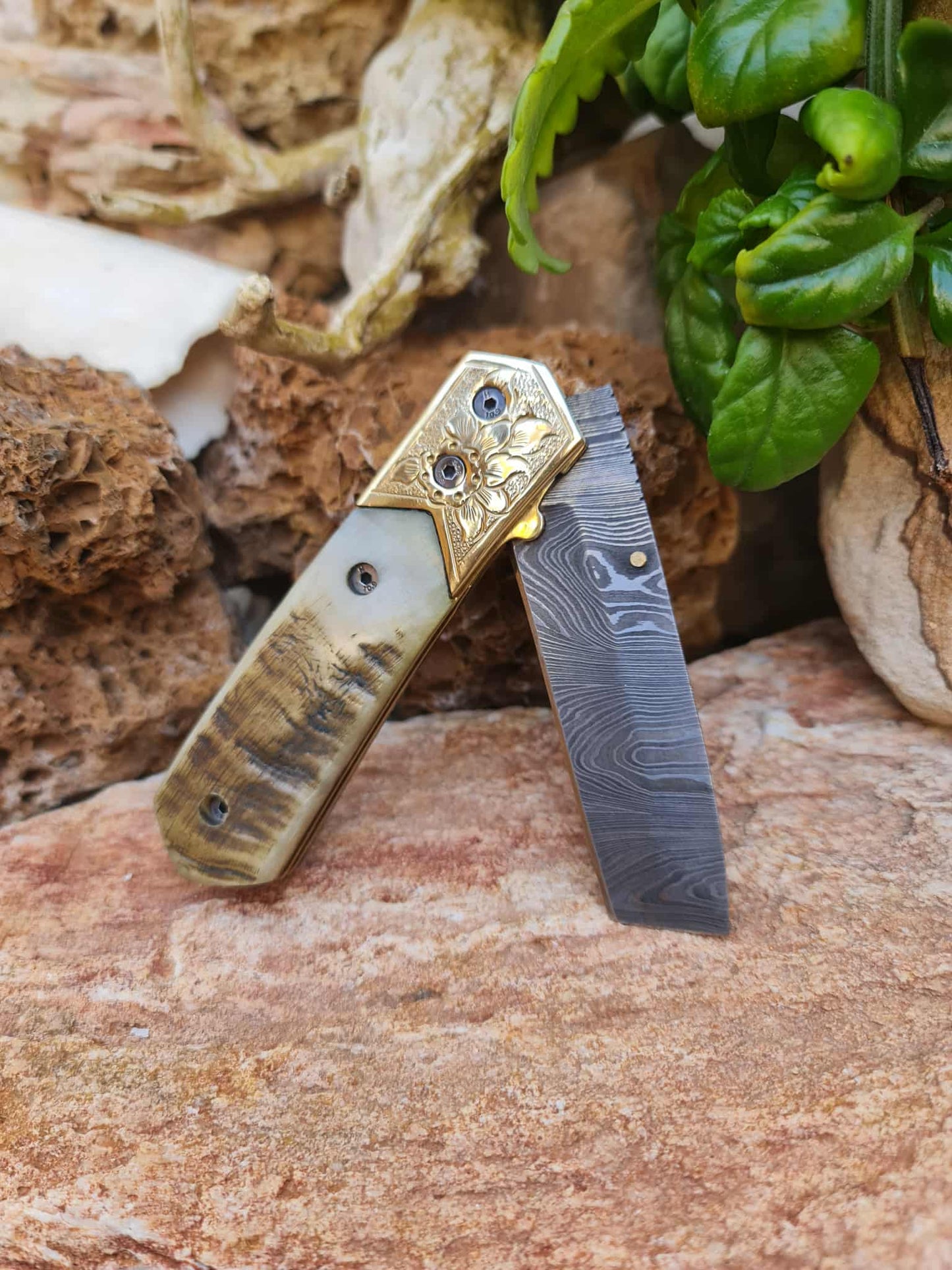 Handmade Limited Edition with Serial Number 20cm Knife with Damascus Steel - Cyprus Wild Mouflon Horn & Hand Engraved Brass (Exclusive Knife with Serial Number & Exclusive Gift Box)