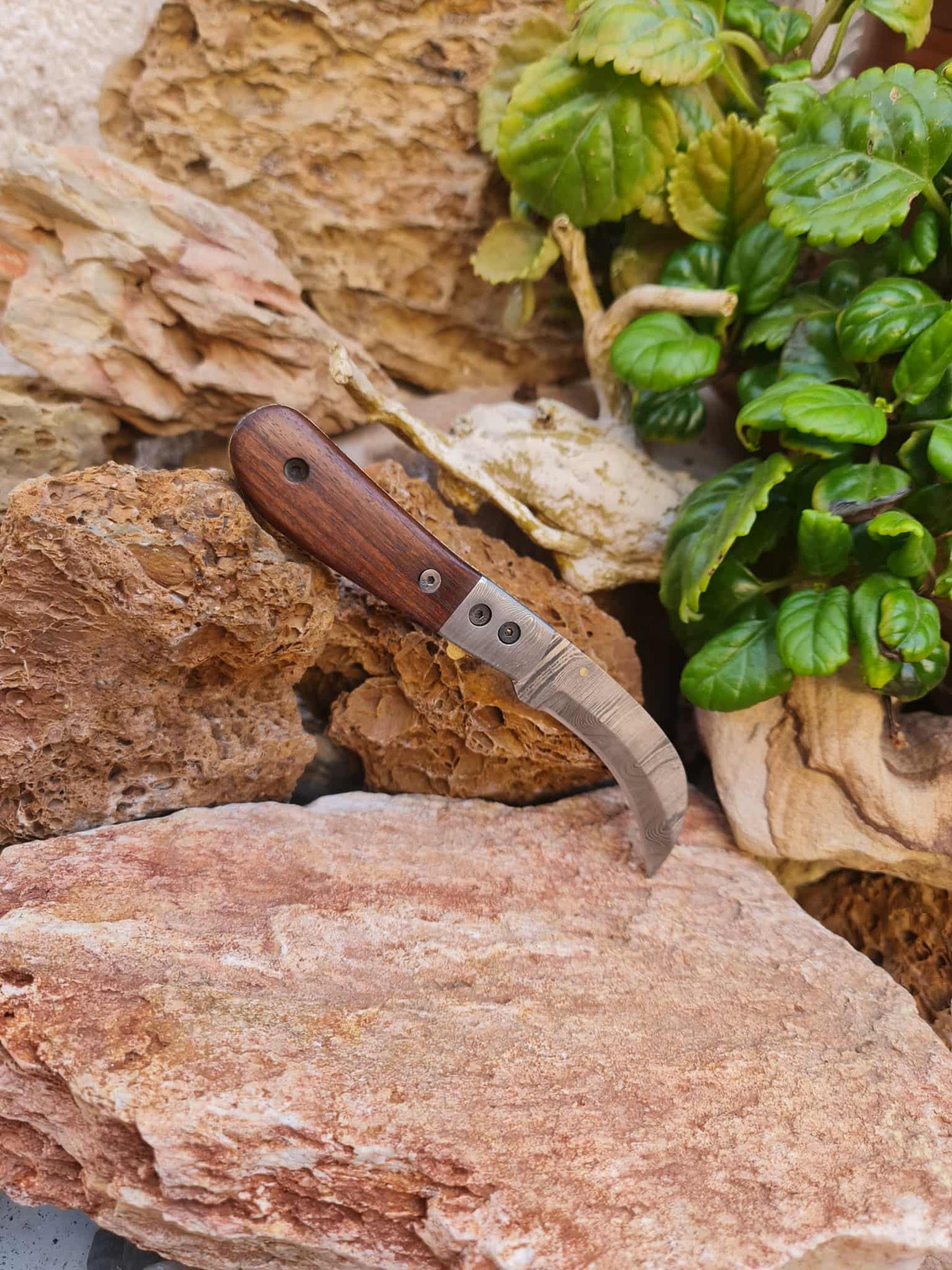 Handmade Hawkbill – 18cm Folding Knife with Damascus Steel & Walnut Wood