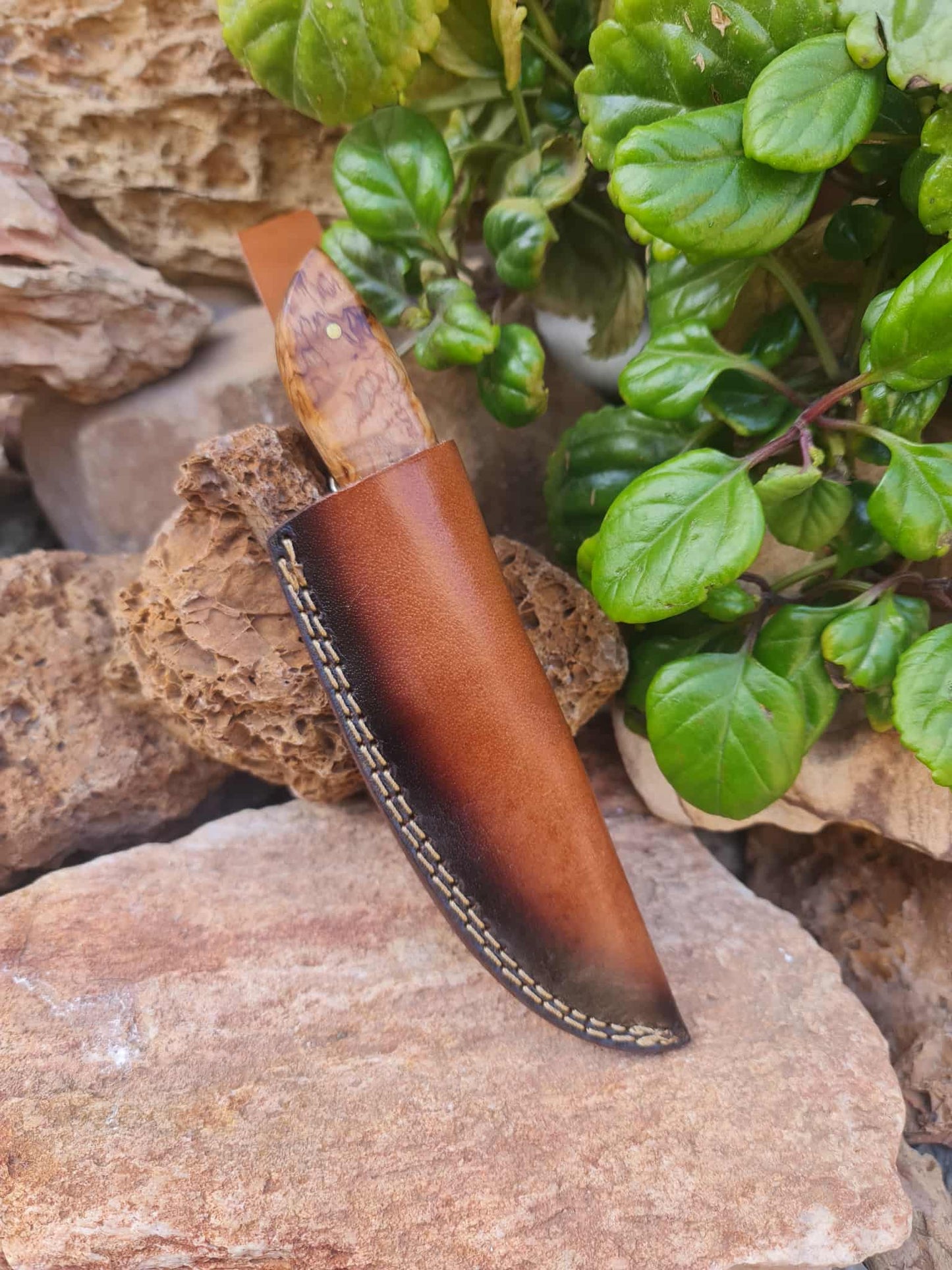 Handmade 21cm Hunting Knife with Damascus Steel & Olive wood