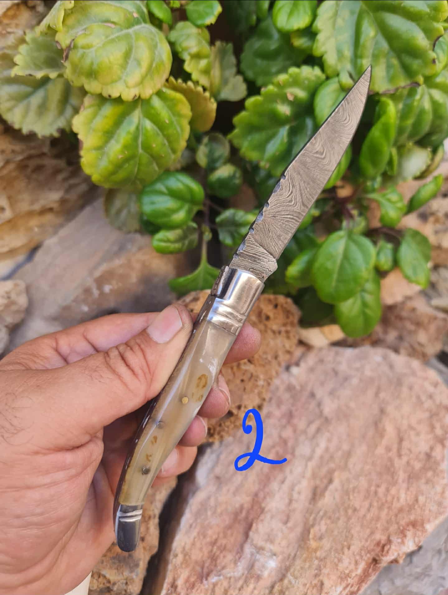 Handmade 22cm Laguiole Rustique with Damascus Steel - Ram Horn with D2 Stainless Steel
