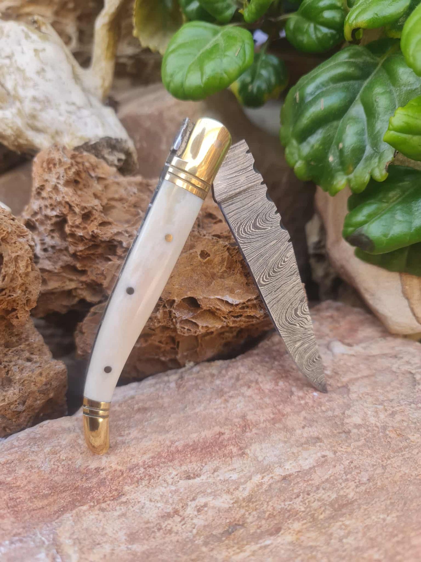 Handmade 22cm Laguiole Classique with Damascus Steel - Camel Bone & Brass