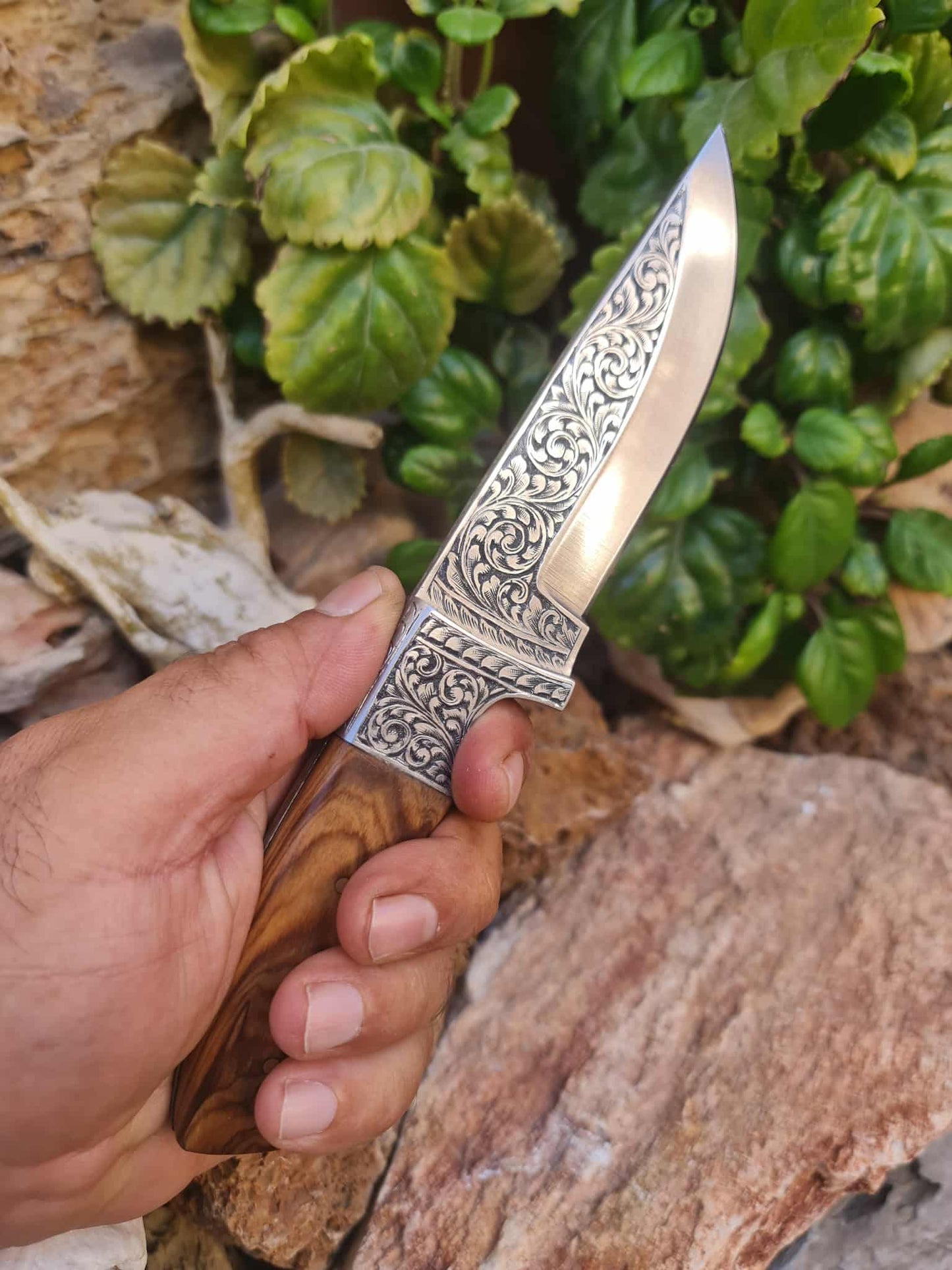 Handmade 23cm Exclusive Hunting Knife with Stainless Steel with Master Hand-Engraved & Olive wood