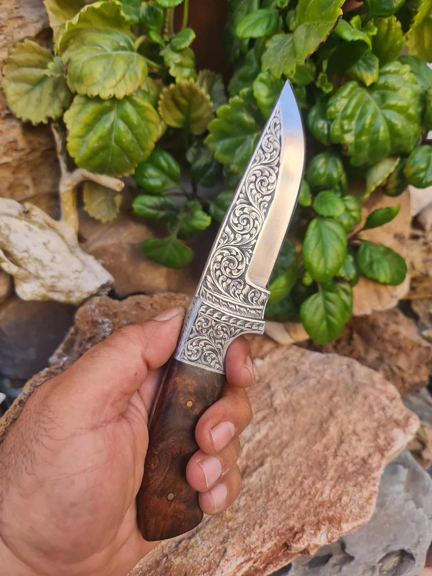 Handmade 23cm Exclusive Hunting Knife with Stainless Steel with Master Hand-Engraved & Rosewood