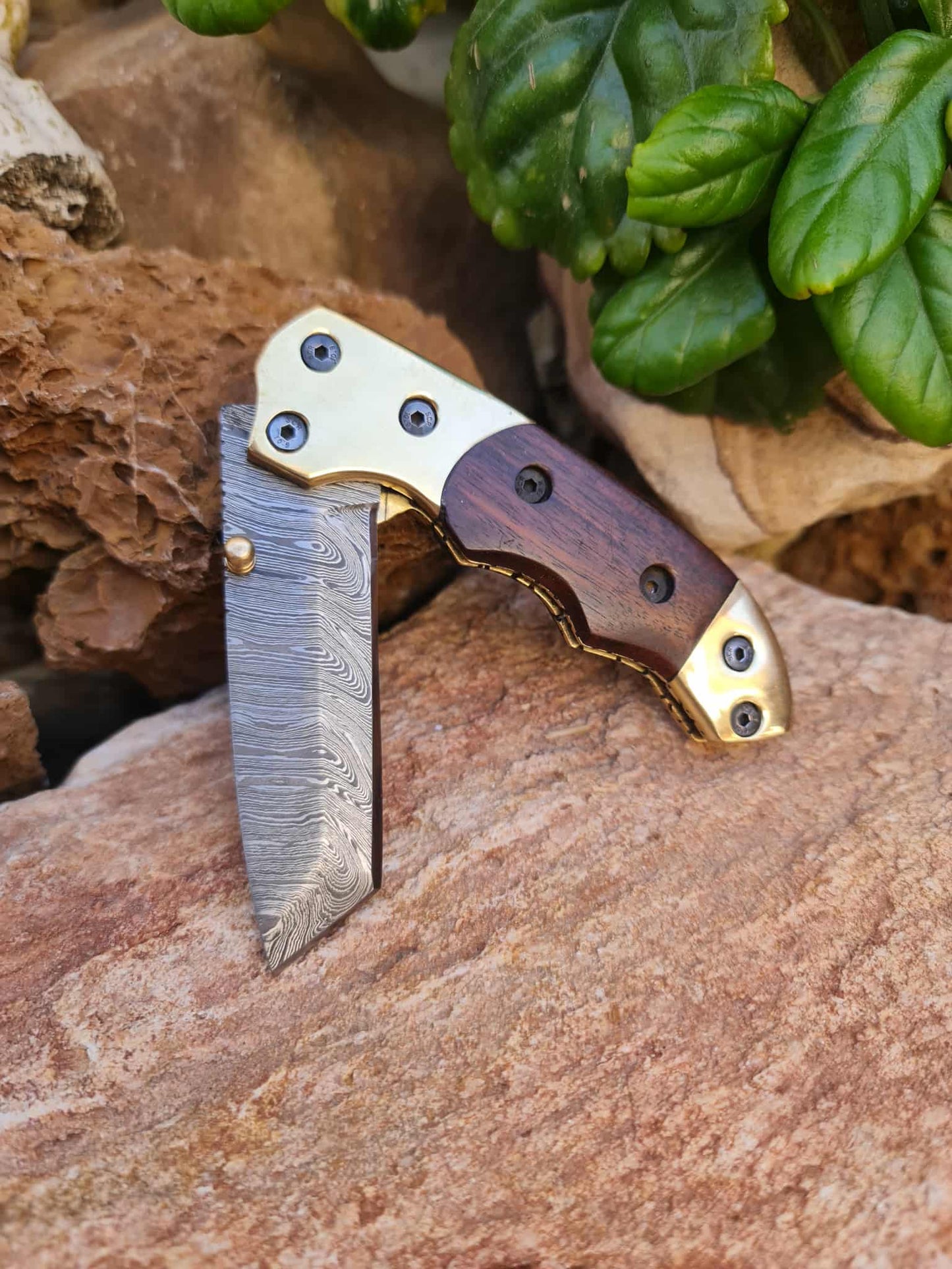 Handmade Tanto – 19cm Folding Knife with Damascus Steel - Walnut Wood & Brass