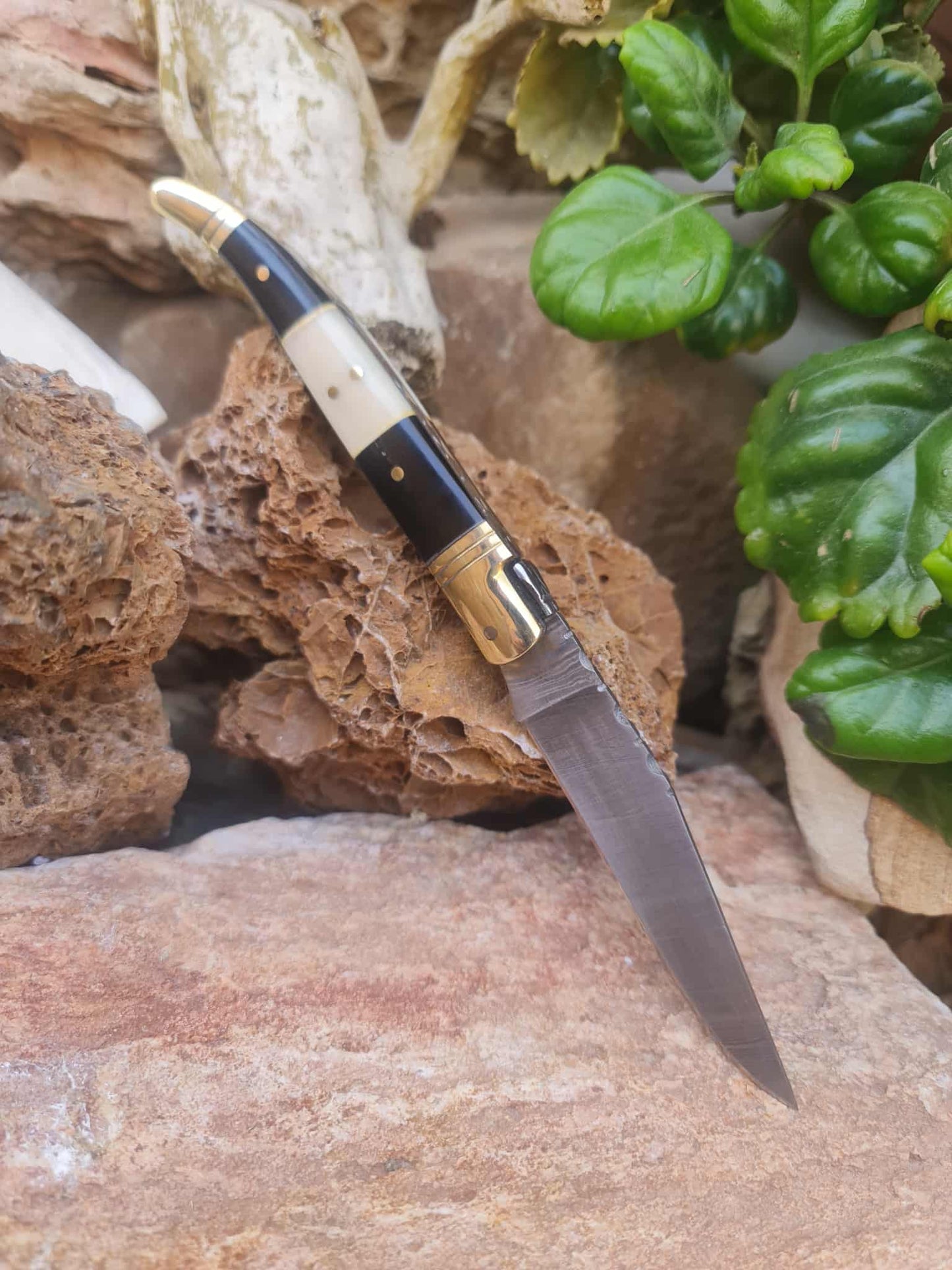 Handmade 22cm Laguiole Classique with Damascus Steel - Buffalo Horn - Camel Bone & Brass