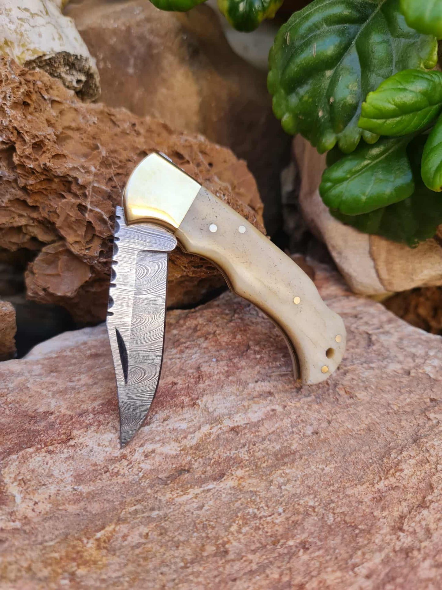 Handmade 17cm Pocket Knife with Damascus Steel - Camel Bone & Brass